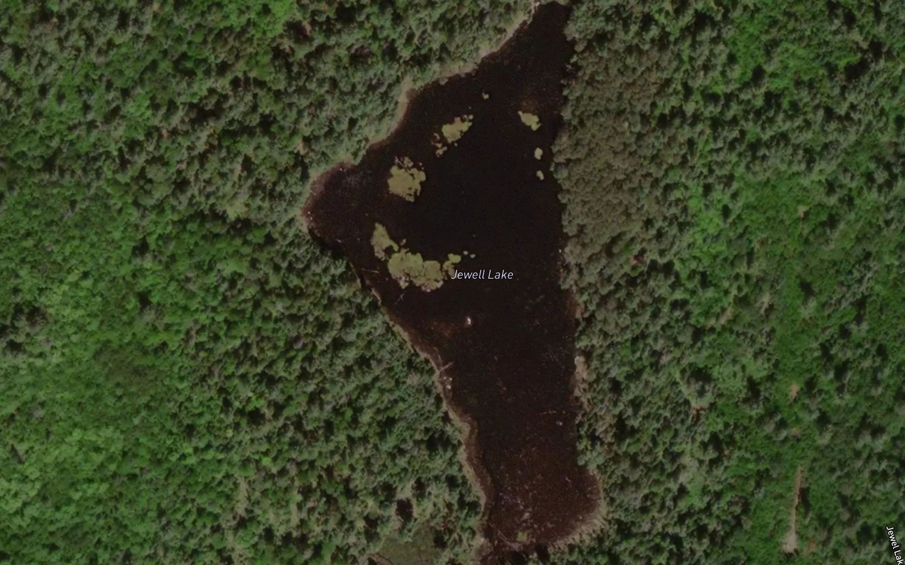 Satellite map of the Jewell Lake