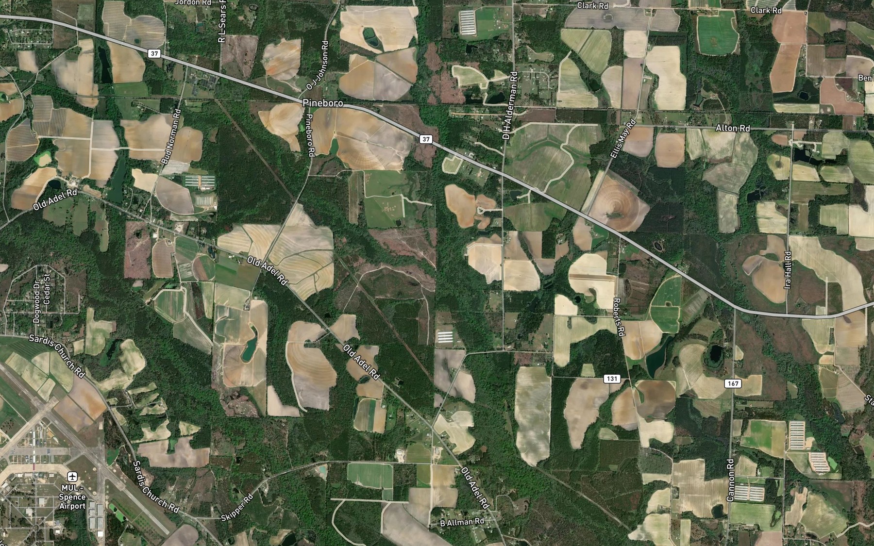 Satellite map of the Reedy Creek