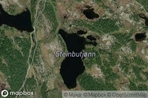 Steinbutjorna