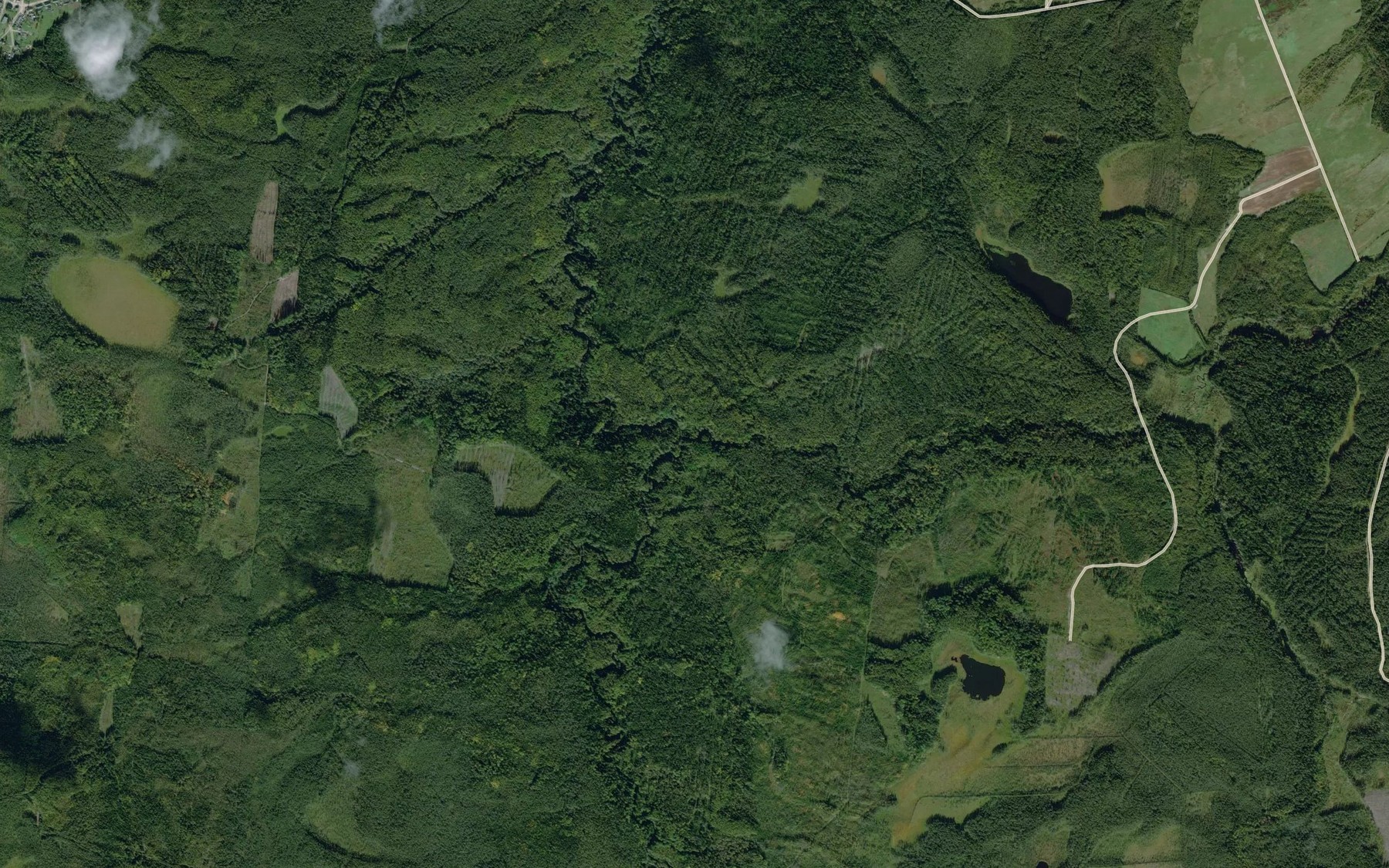 Satellite map of the Sarka