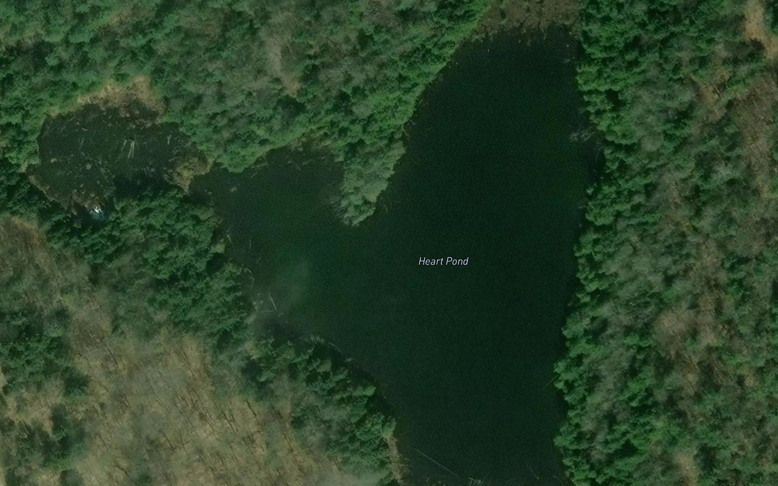 Heart Pond