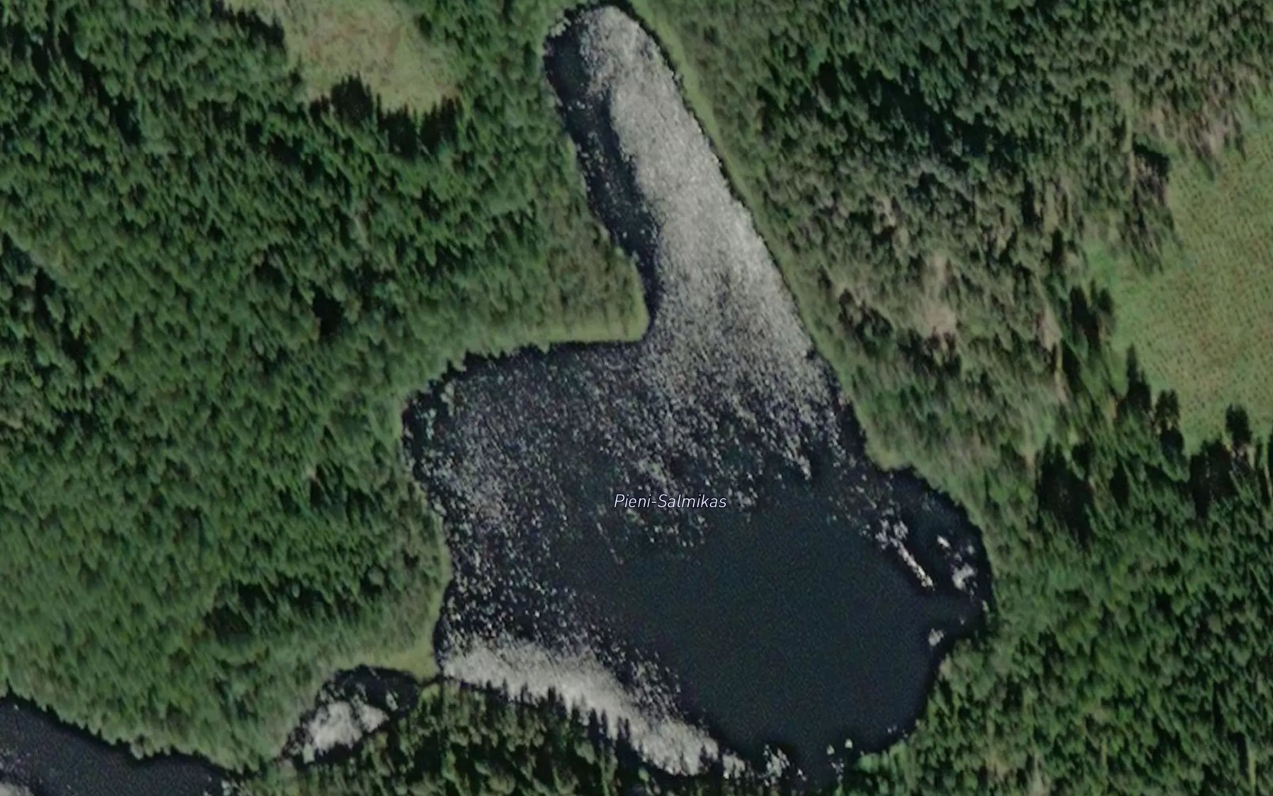 Satellite map of the Pieni-Salmikas