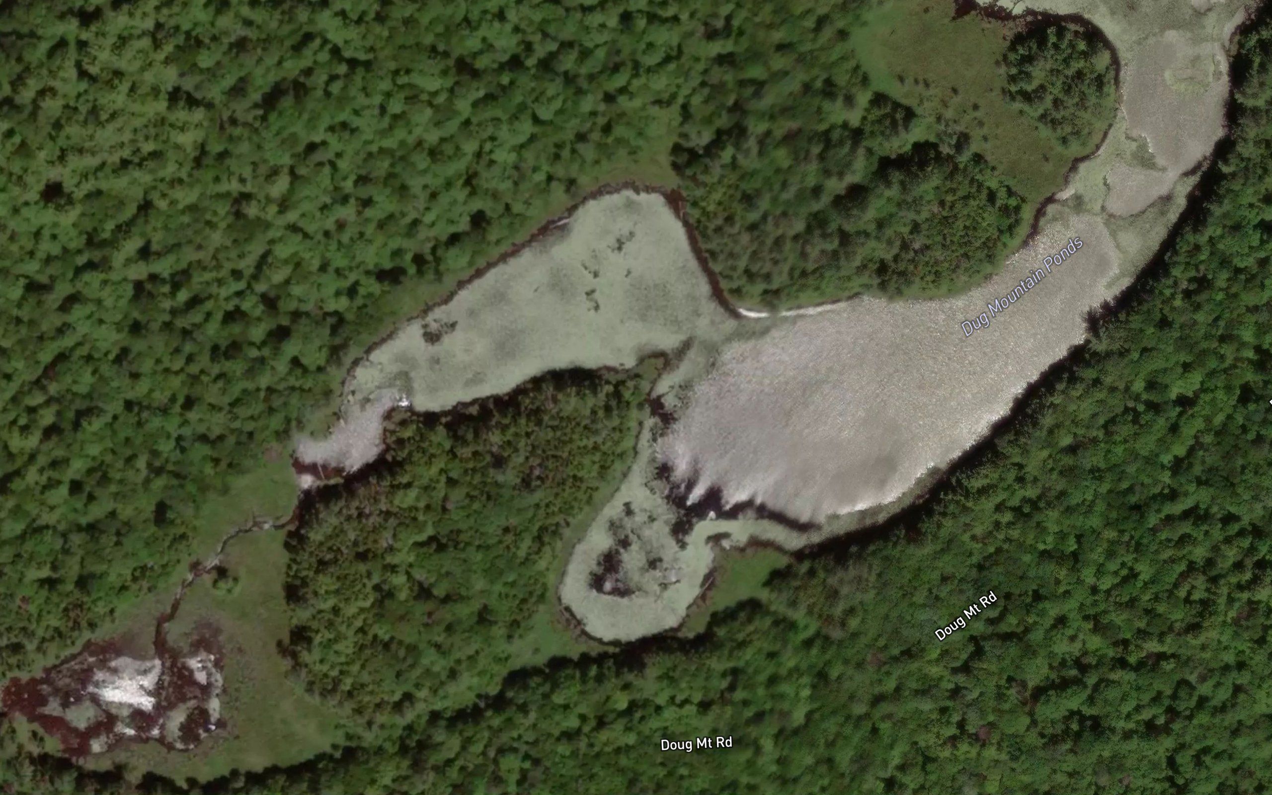 Dug Mountain Ponds