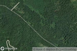 White Branch