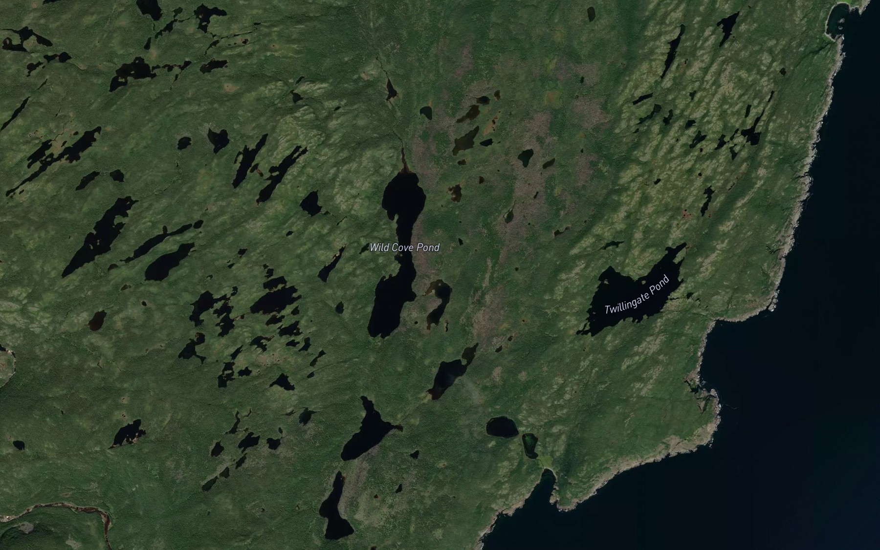 Satellite map of the Beaver House Pond