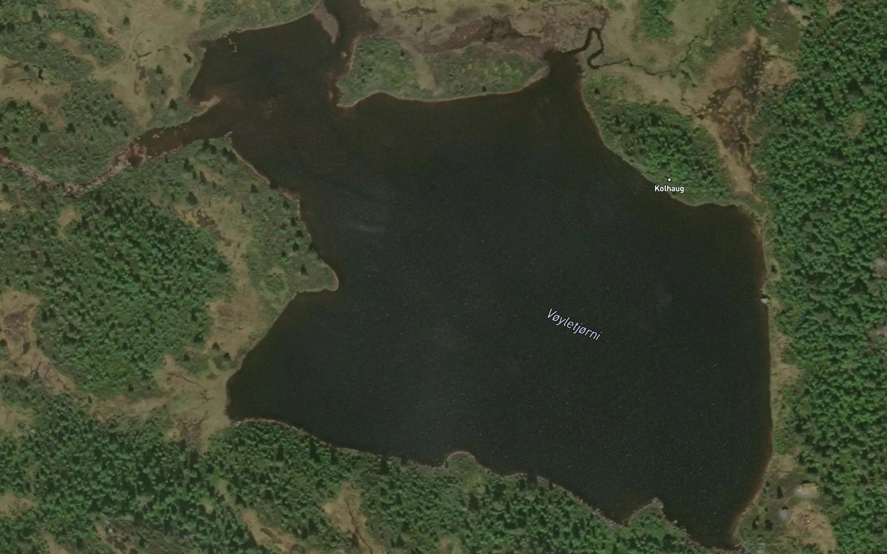 Satellite map of the Voyletjonn