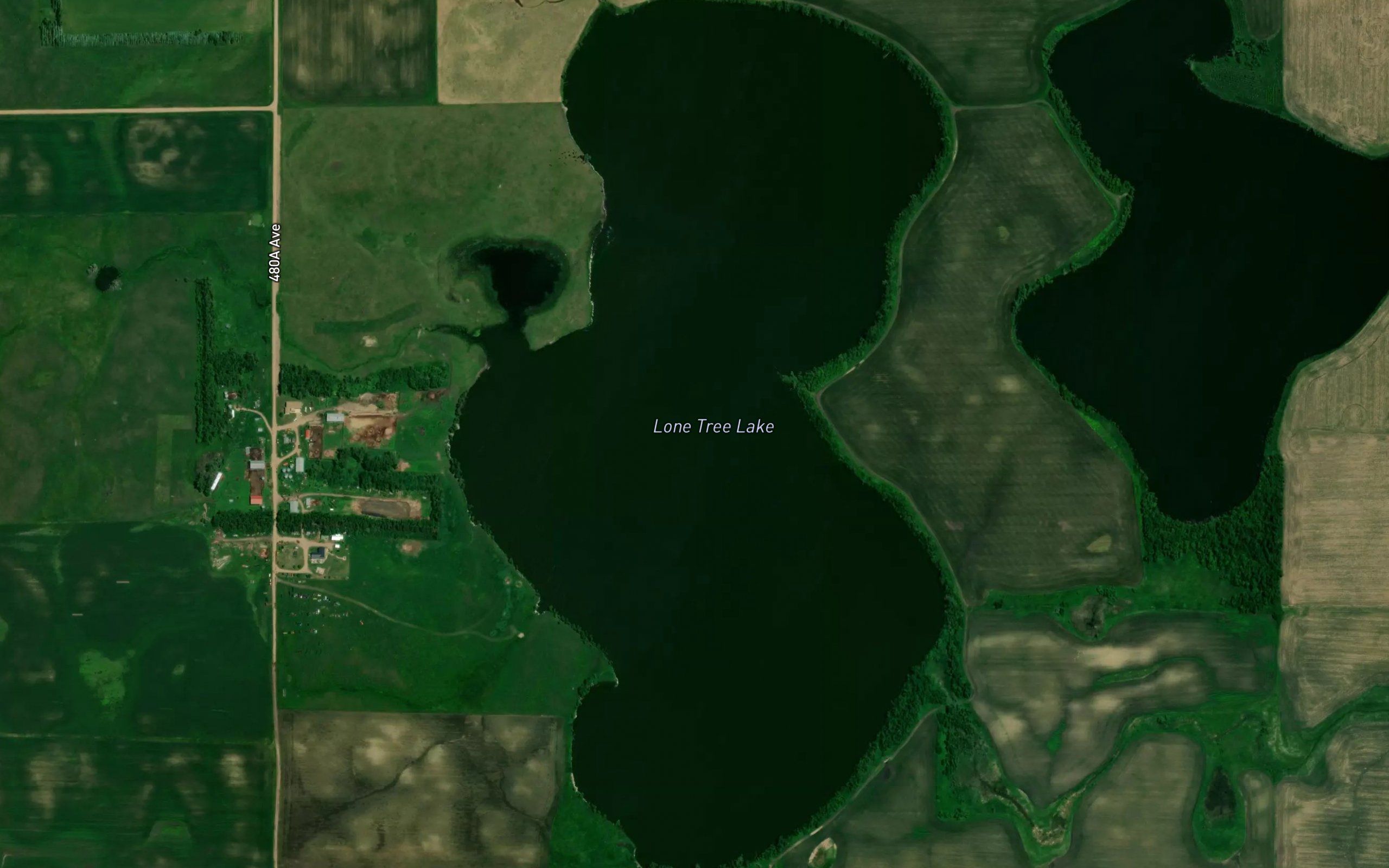 Lone Tree Lake
