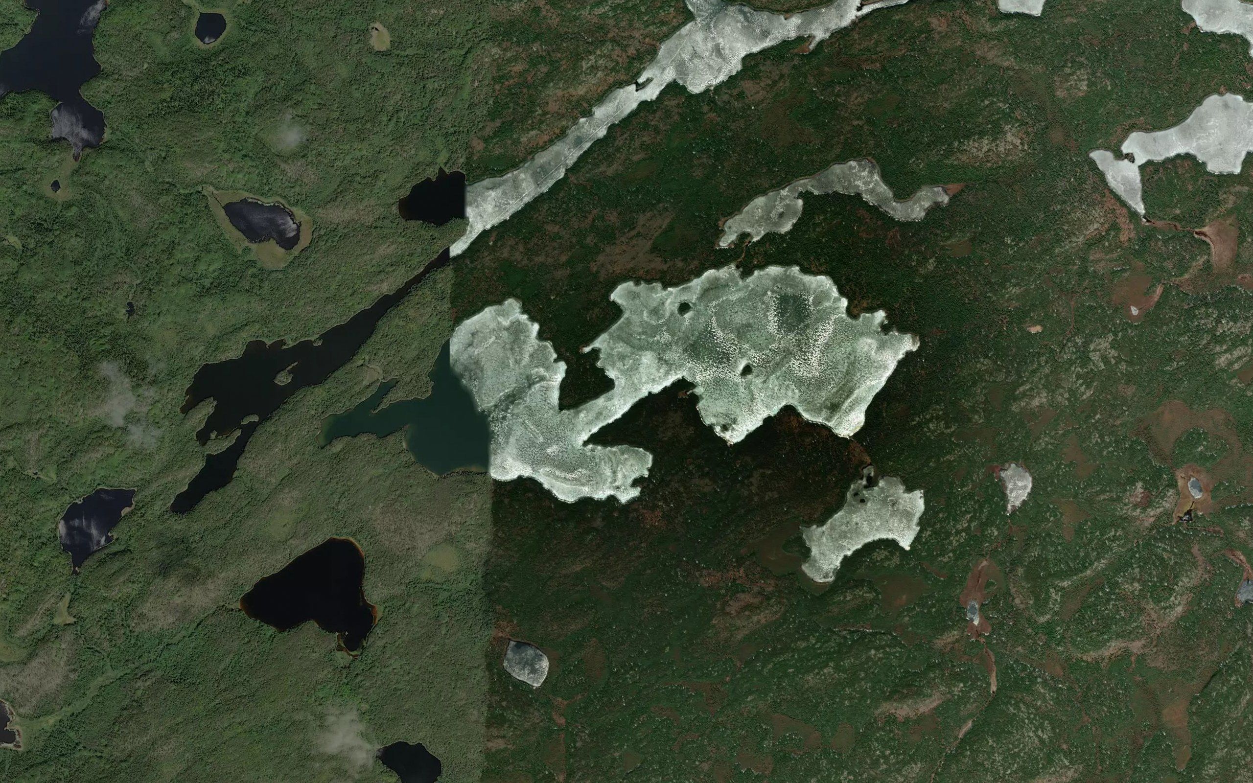 Insect Lake