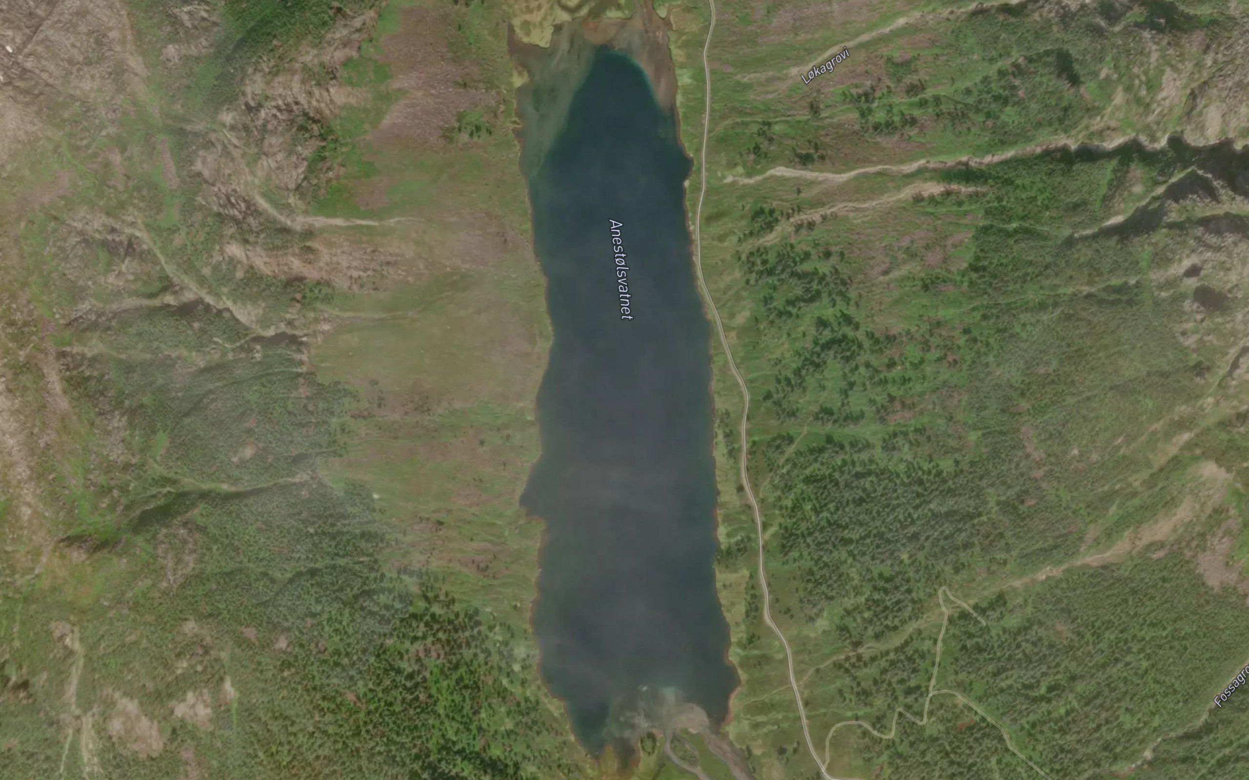 Anestolsvatnet