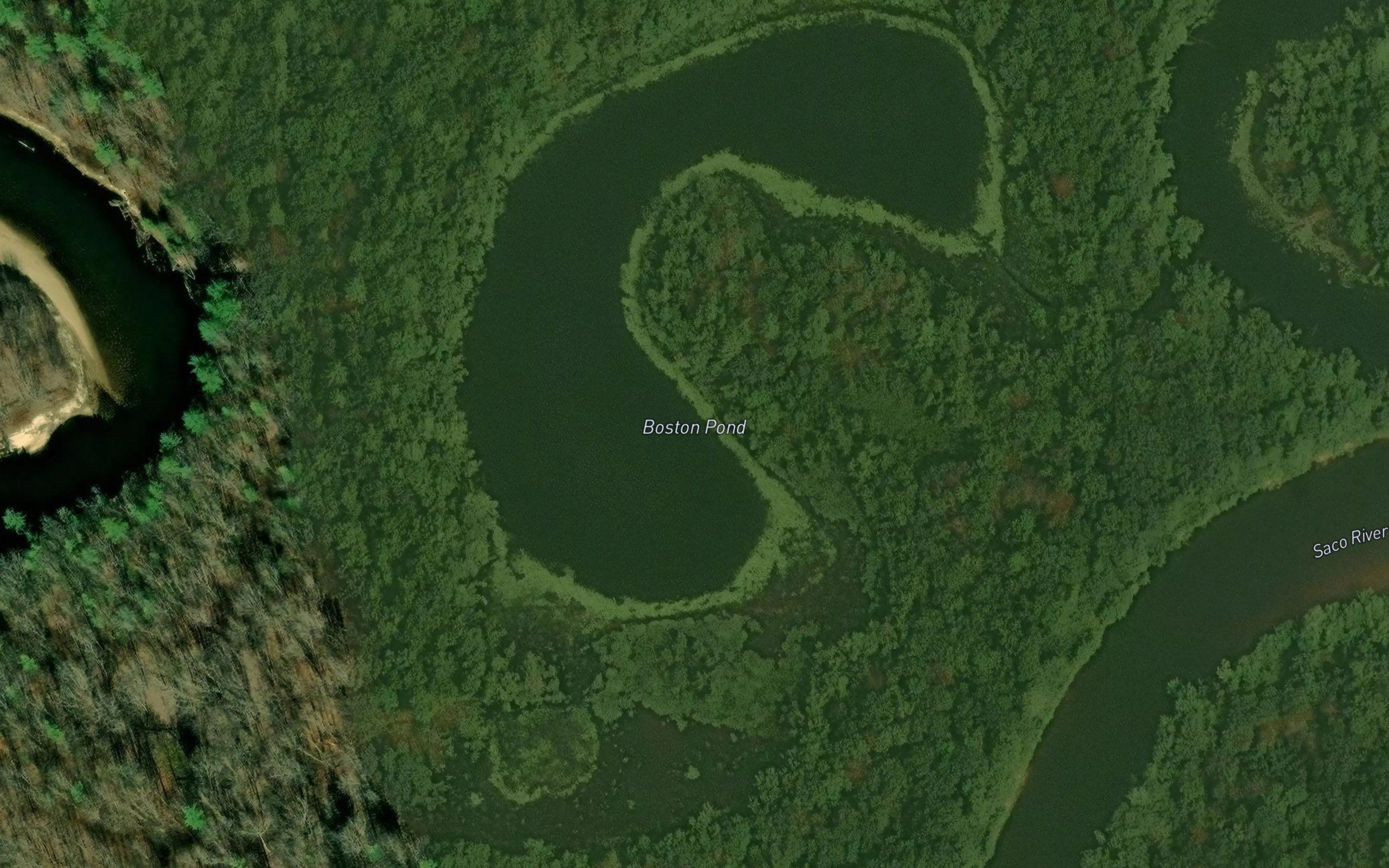 Boston Pond