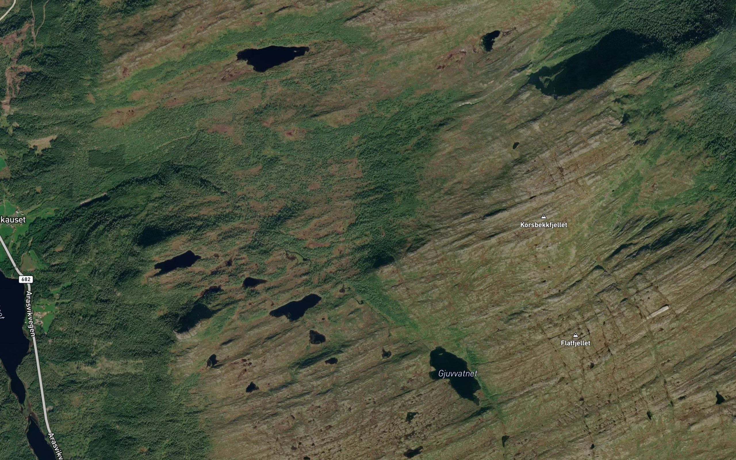Skarfjellraa