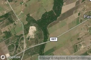 Biala Creek
