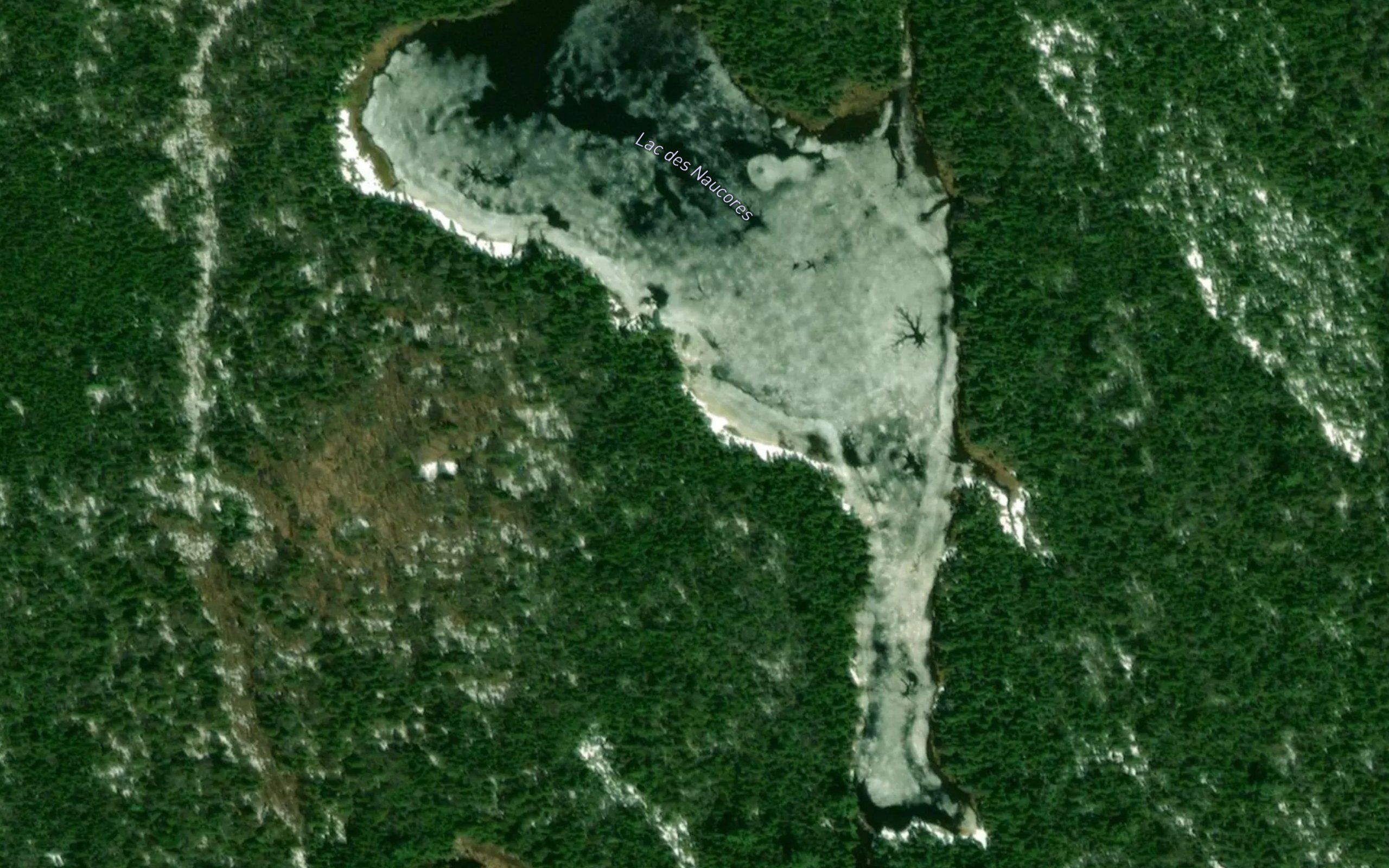 Lac des Naucores