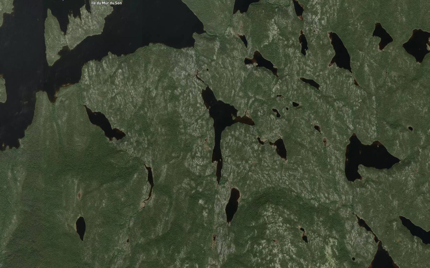 Satellite map of the Lac de l'Aigle a Tete Blanche