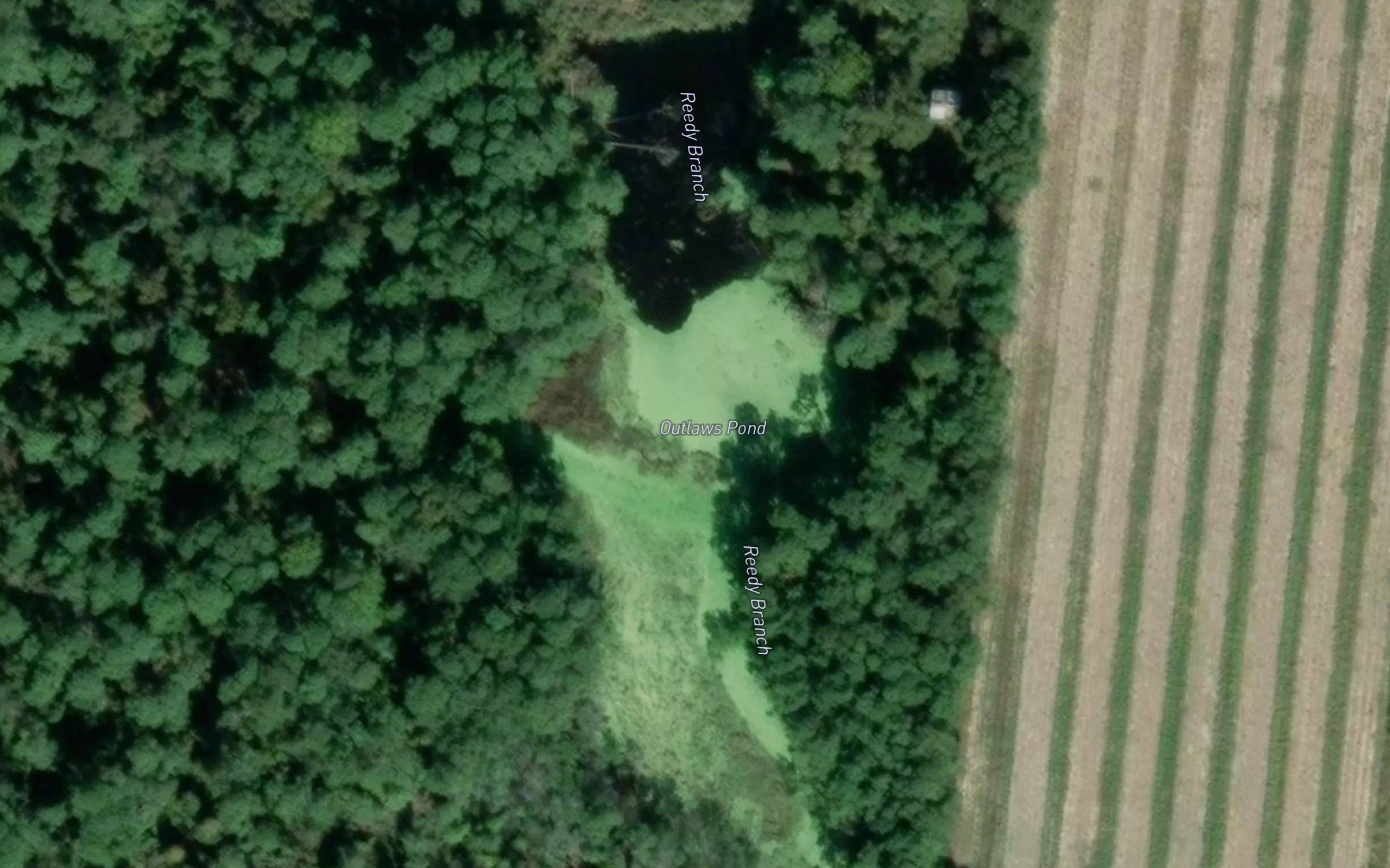 Outlaws Pond