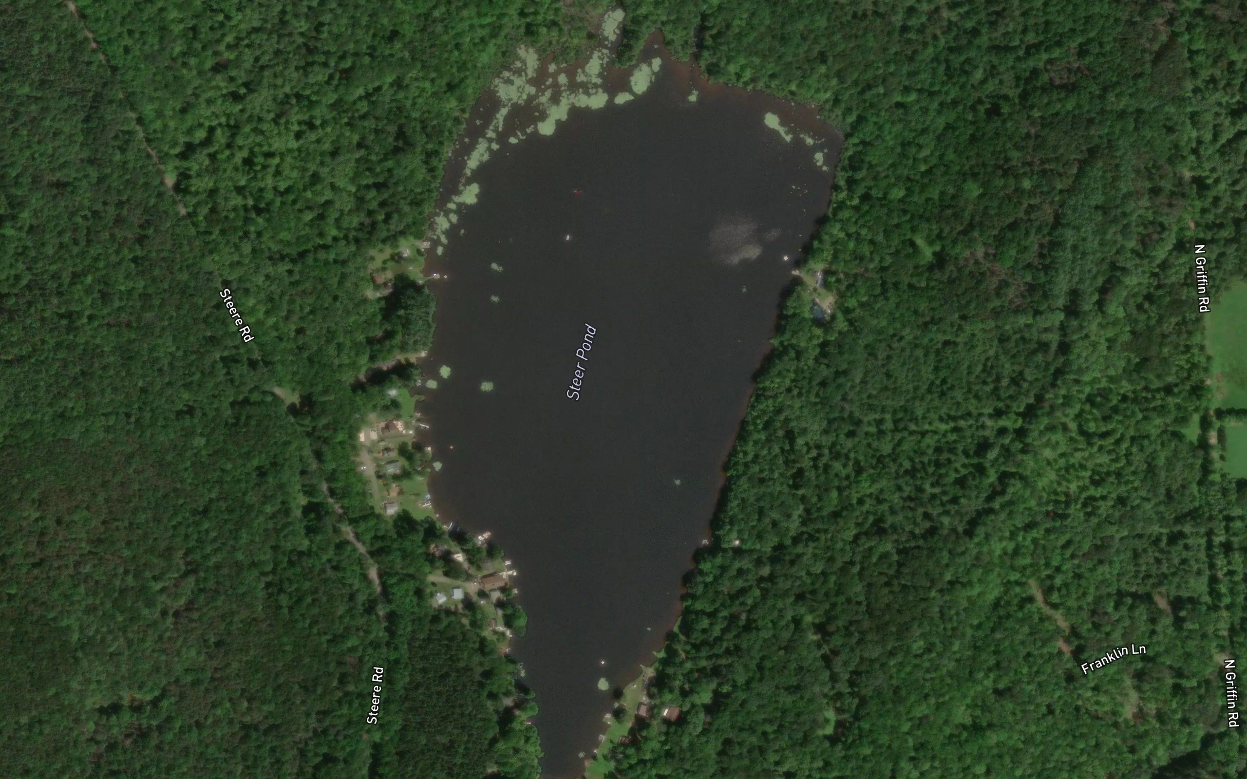 Steer Pond