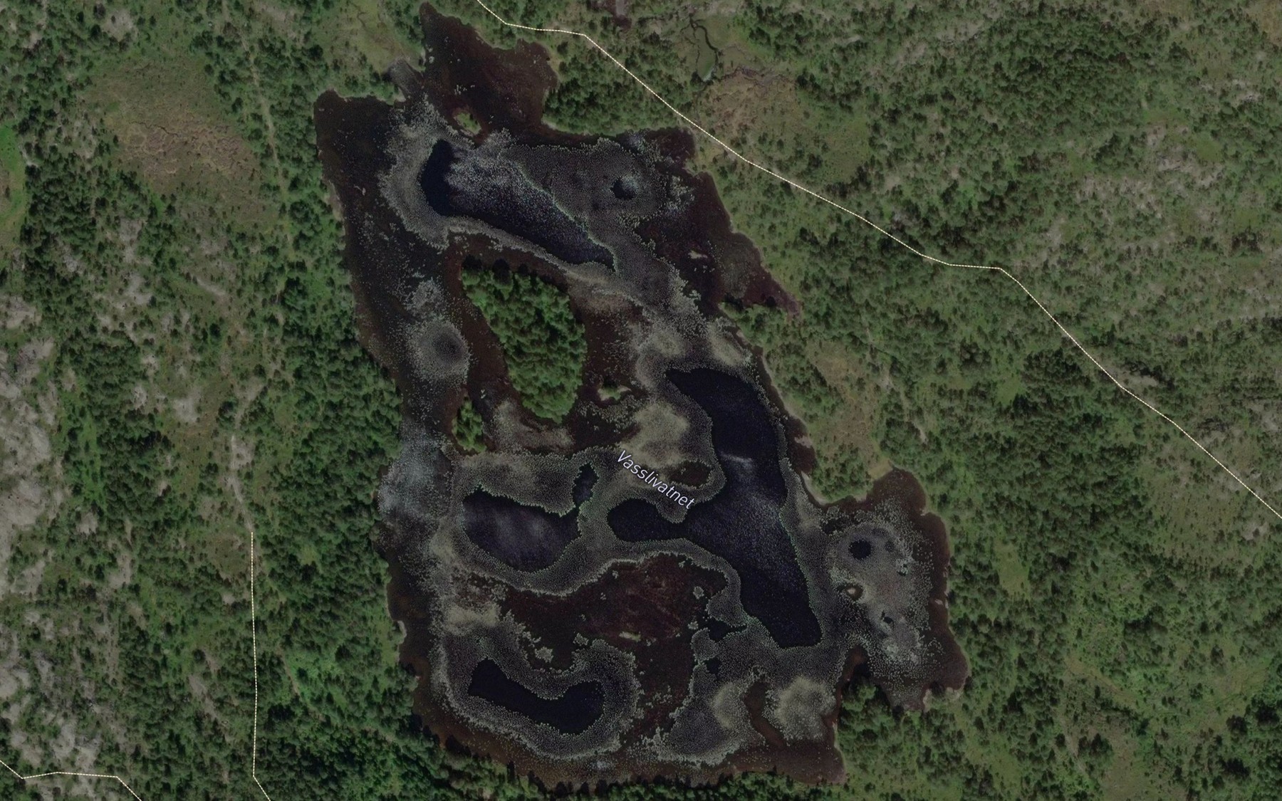Satellite map of the Vasslivatnet