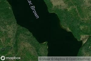 Lac Brown