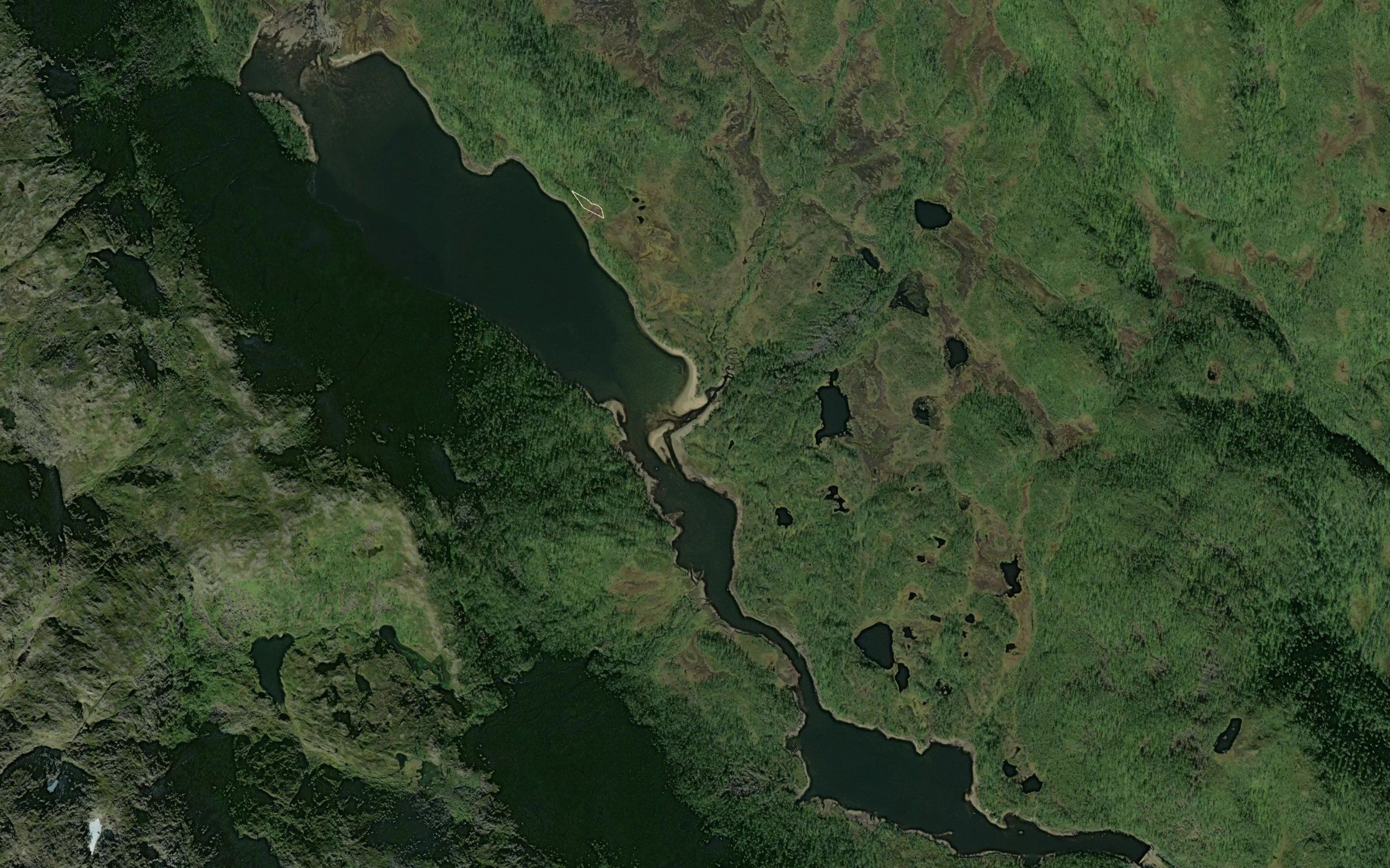 Forsvatnet