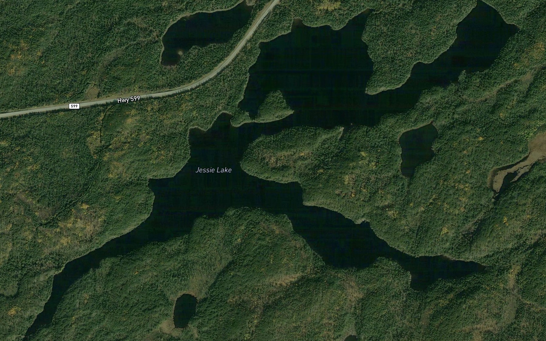 Satellite map of the Jessie Lake