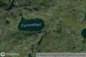 Forsvatnet