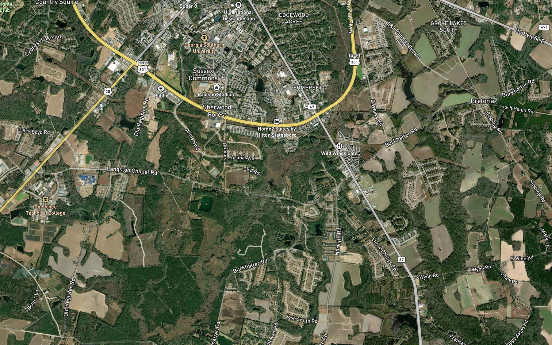 Satellite map of the Bird Pond