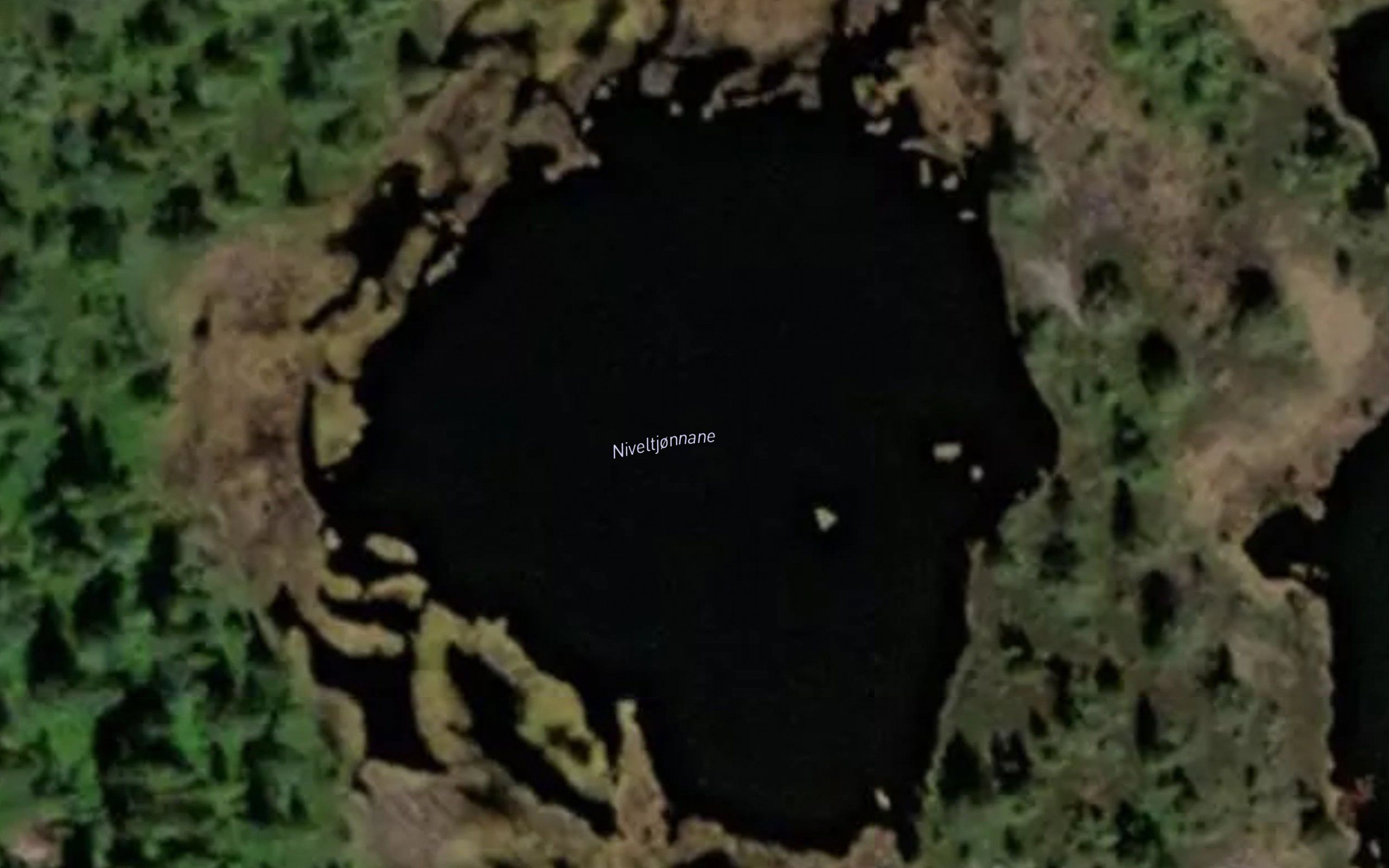 Niveltjornane