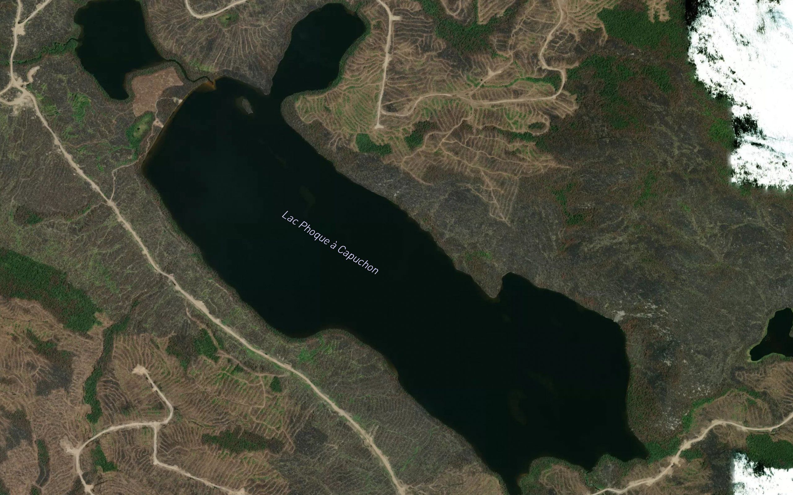 Lac Phoque a Capuchon