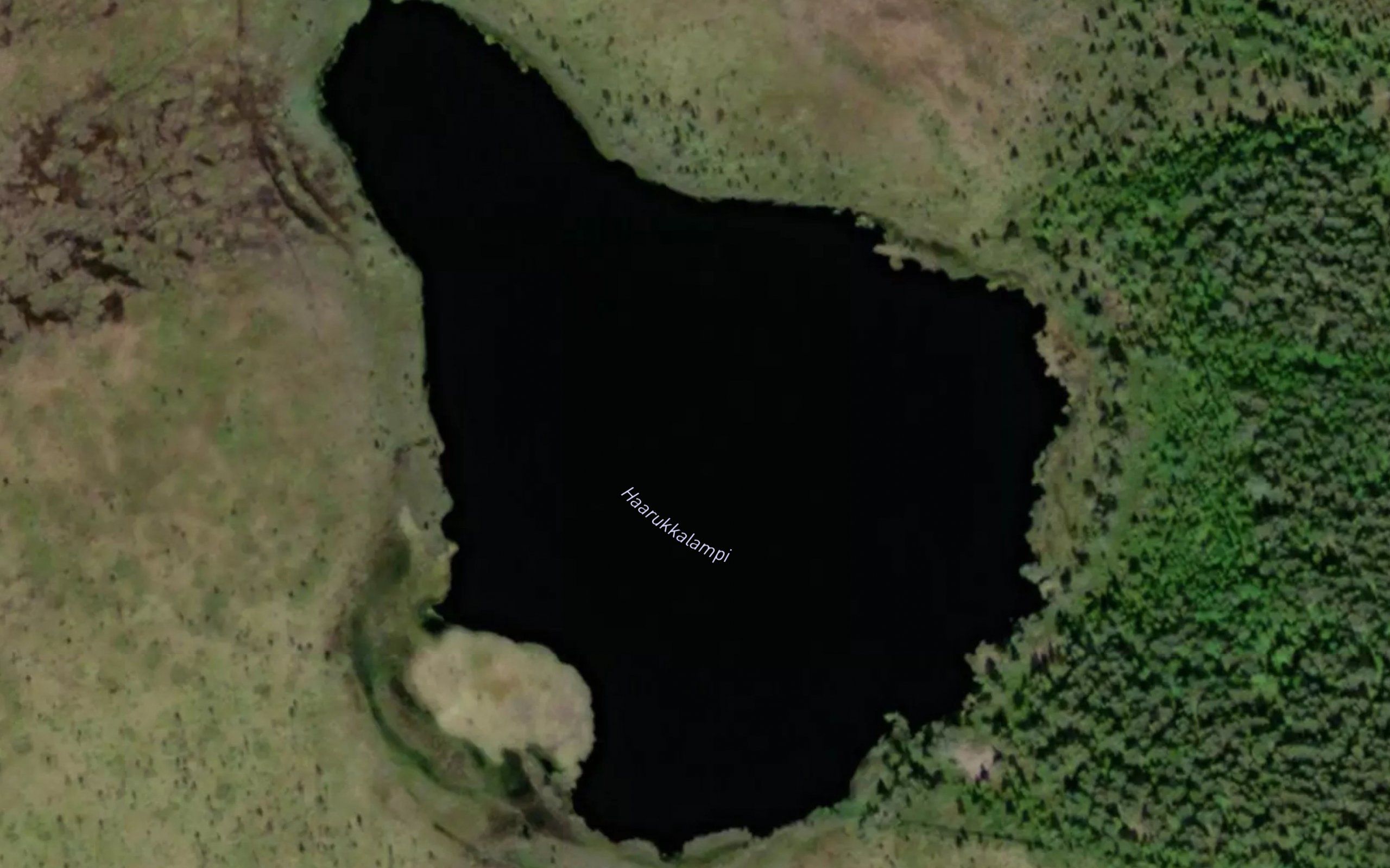 Haarukkalampi