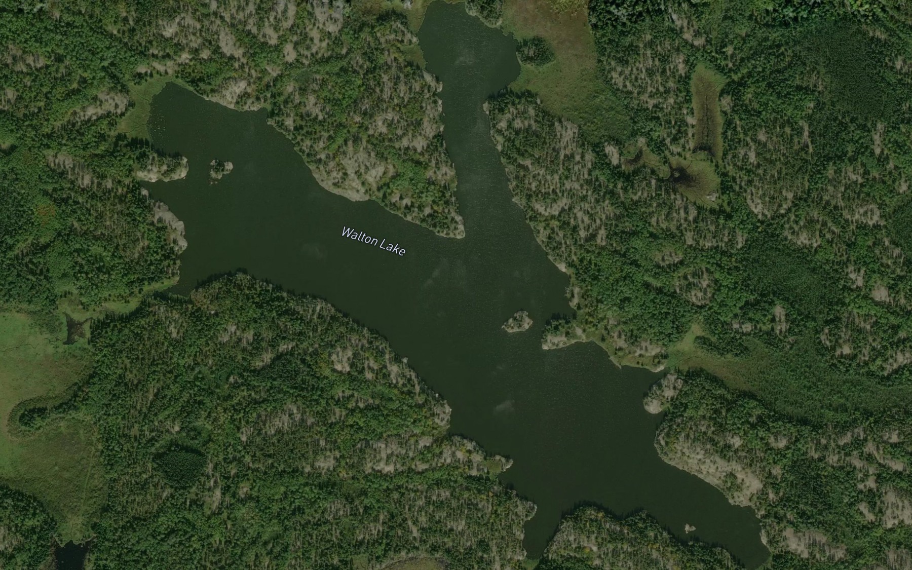 Satellite map of the Walton Lake