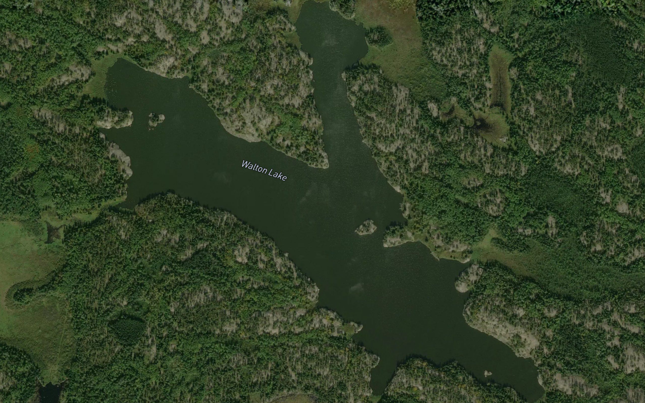 Walton Lake