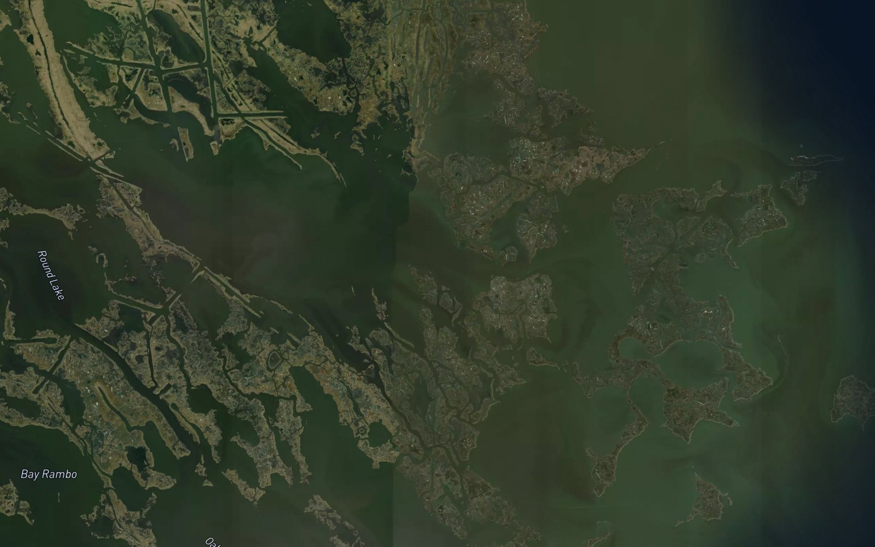 Satellite map of the Snake Bayou