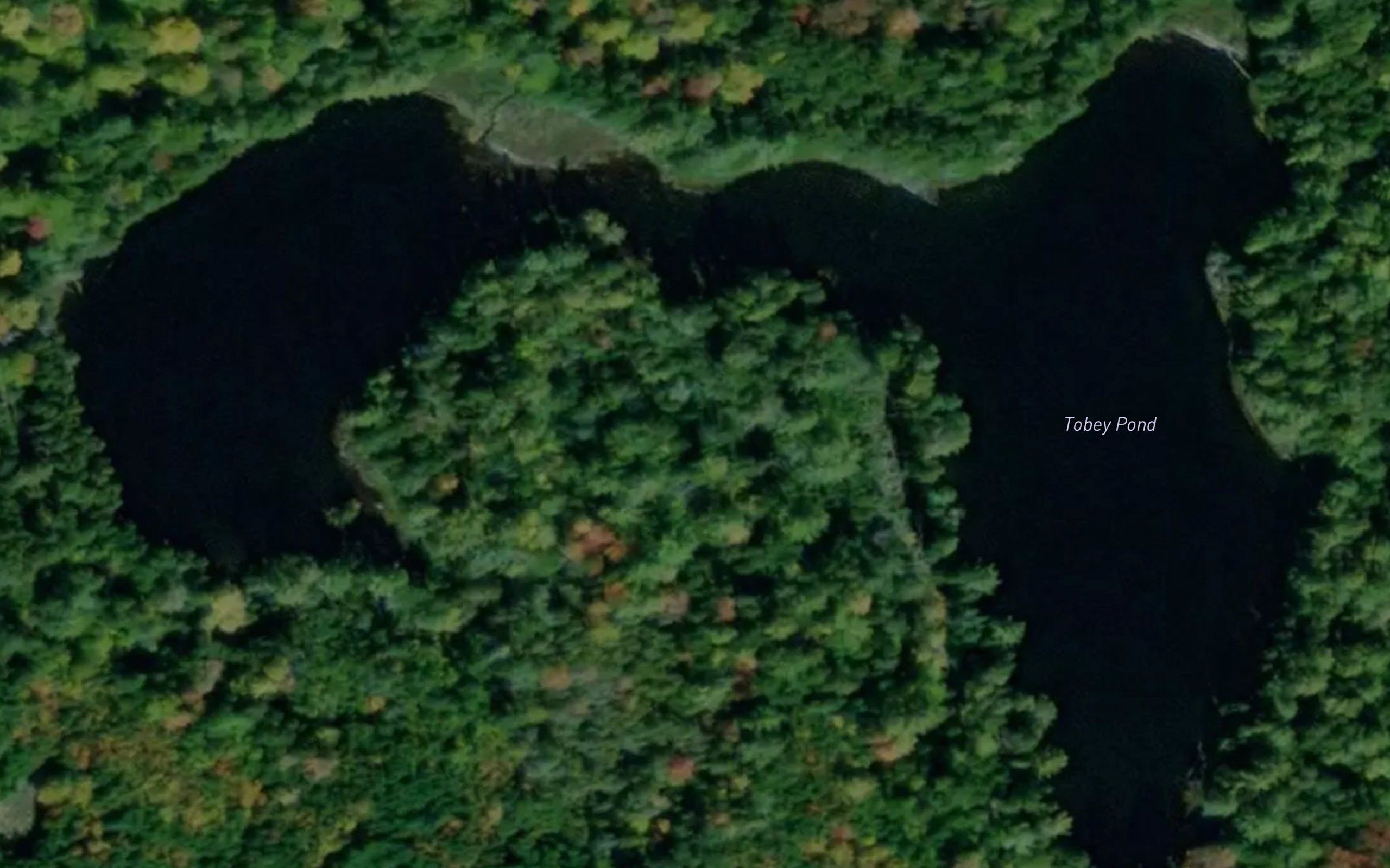 Tobey Pond