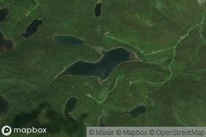 Lac Bacon