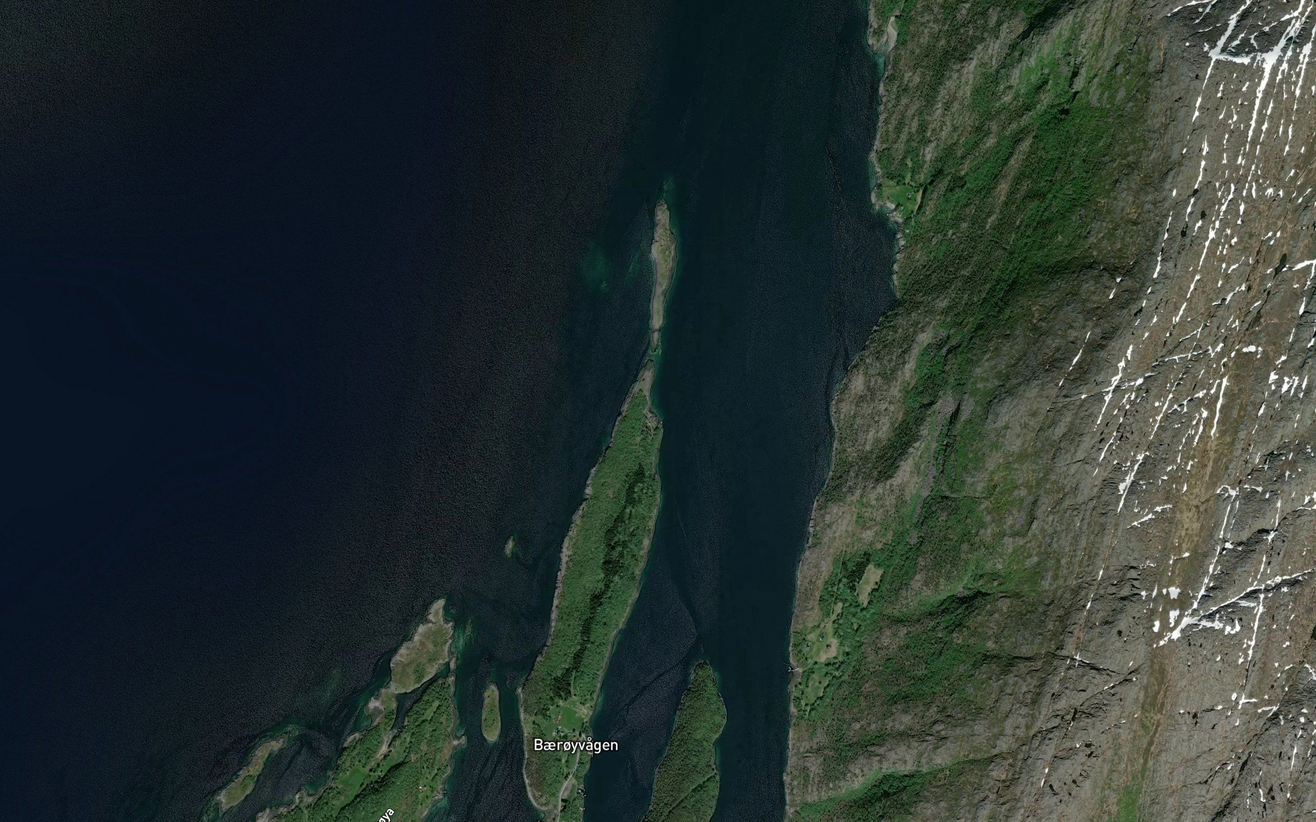 Nesakervika