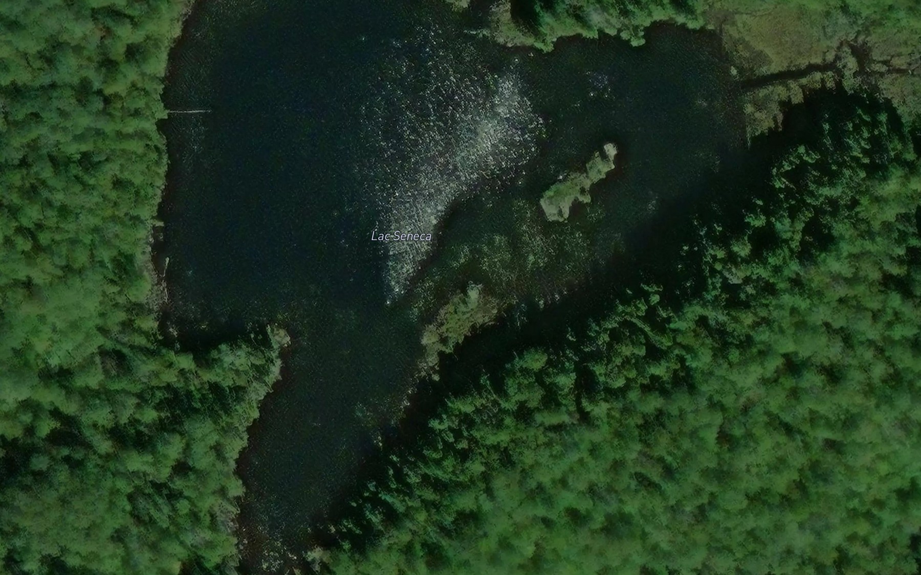 Satellite map of the Lac Seneca