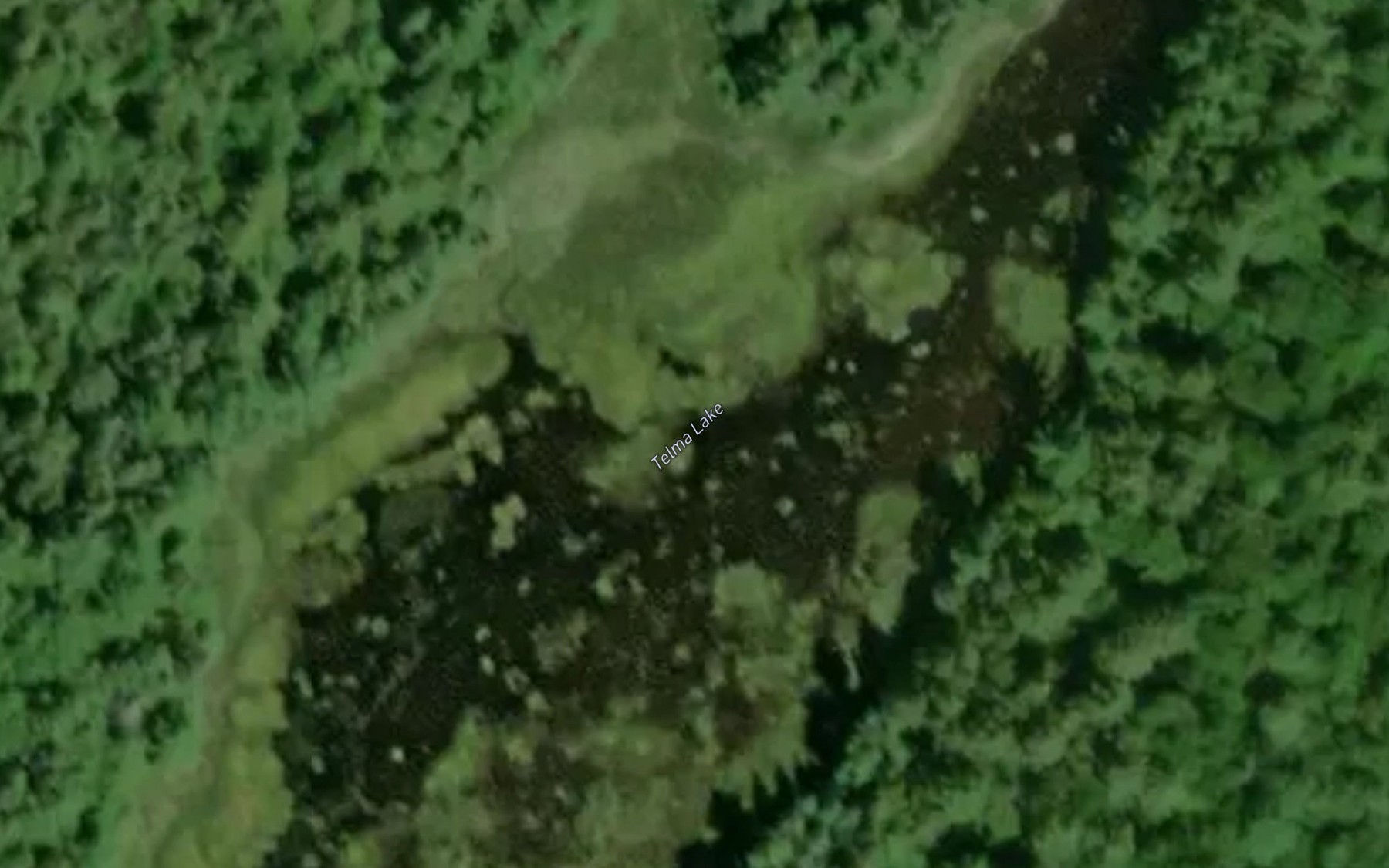 Satellite map of the Telma Lake