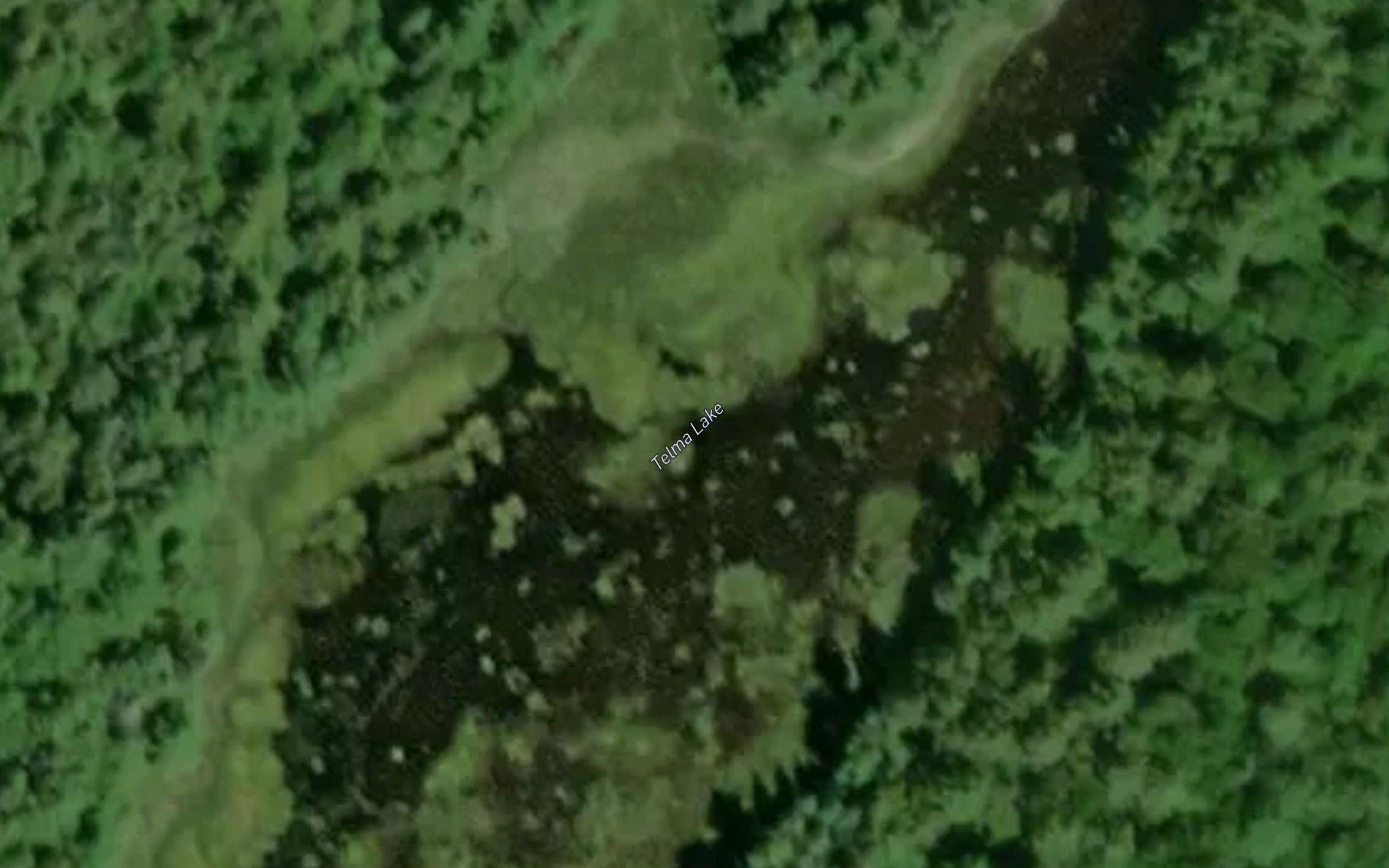 Telma Lake