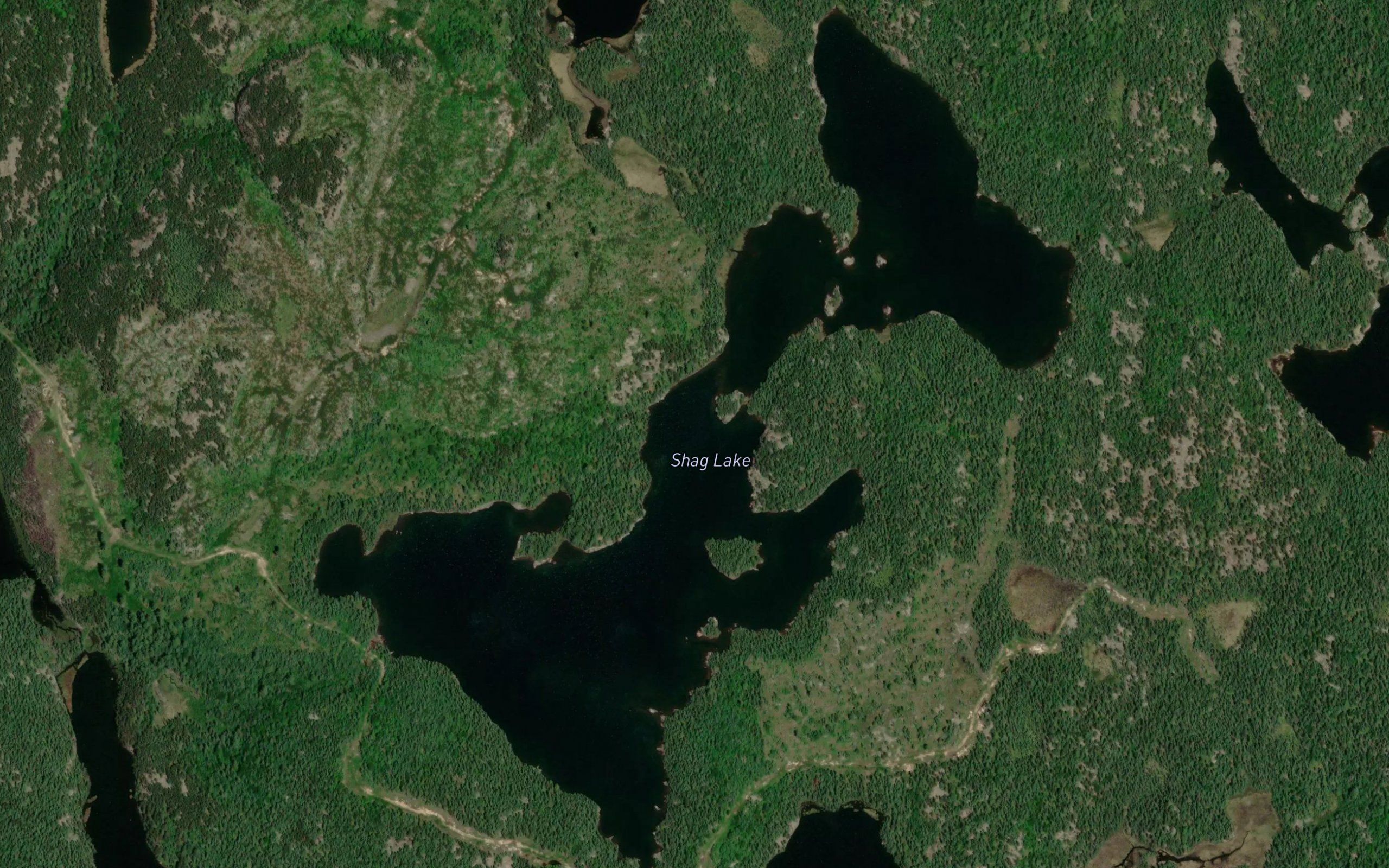 Shag Lake