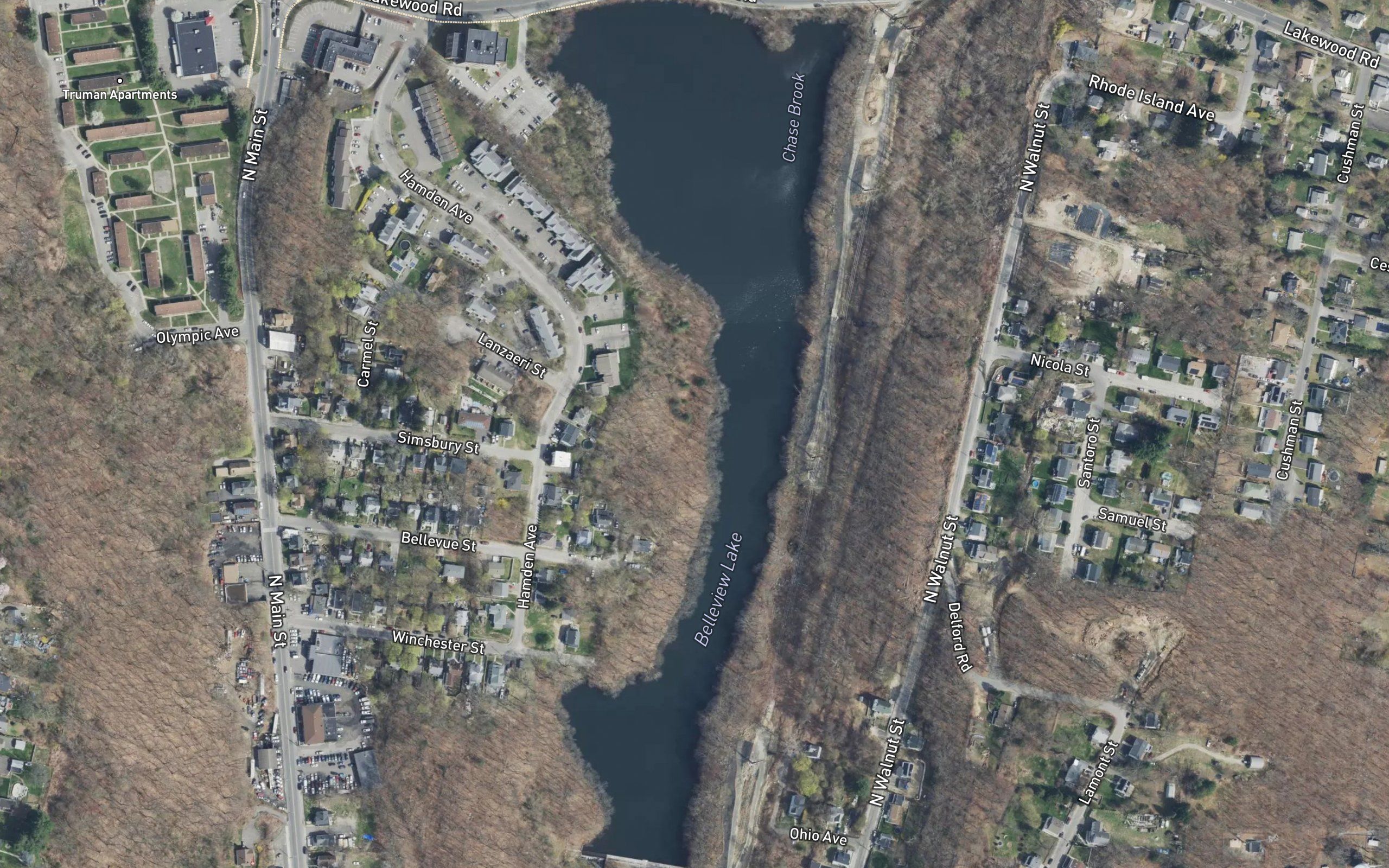 Belleview Lake