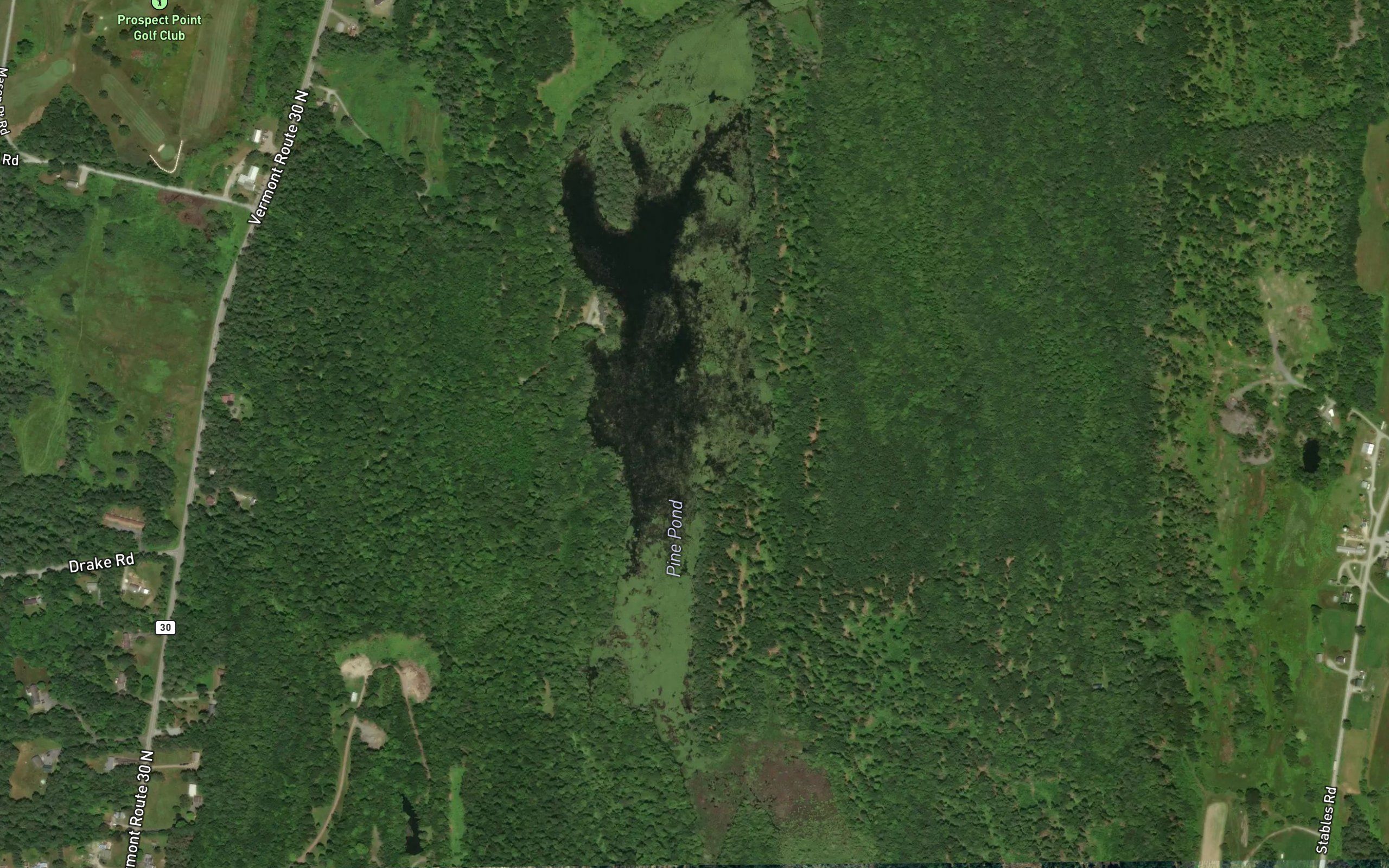 Pine Pond
