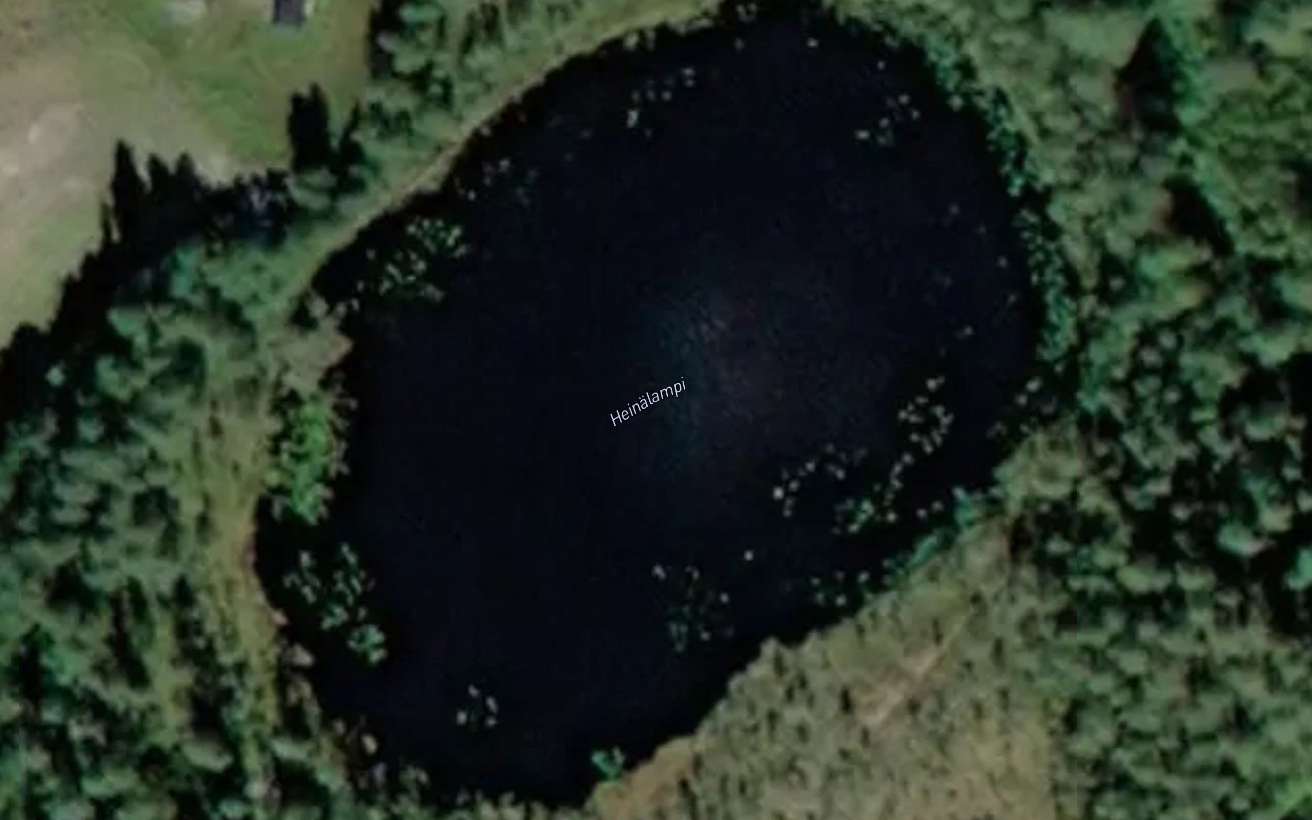 Heinalampi