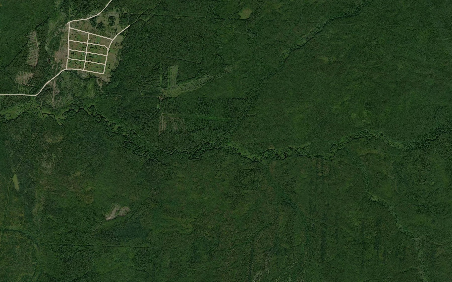 Satellite map of the Vetlikha