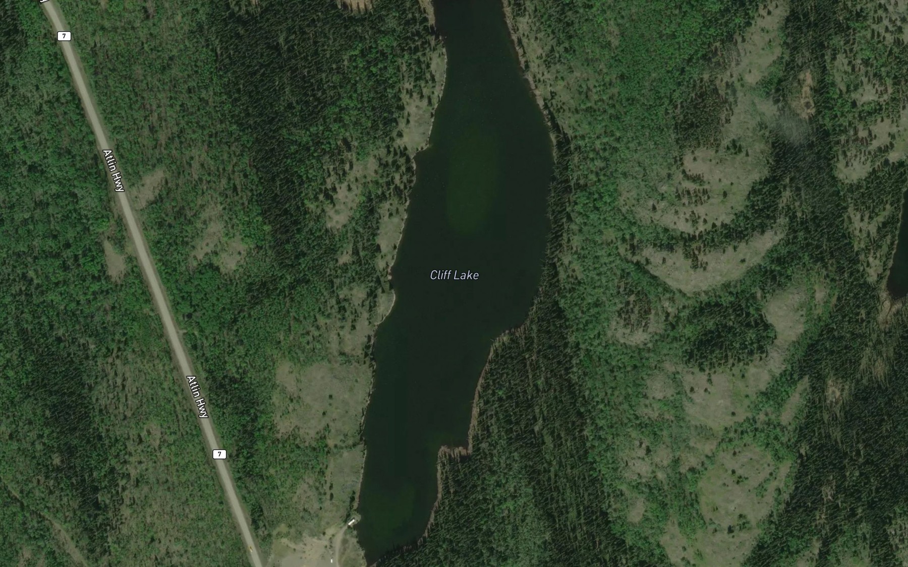 Satellite map of the Cliff Lake