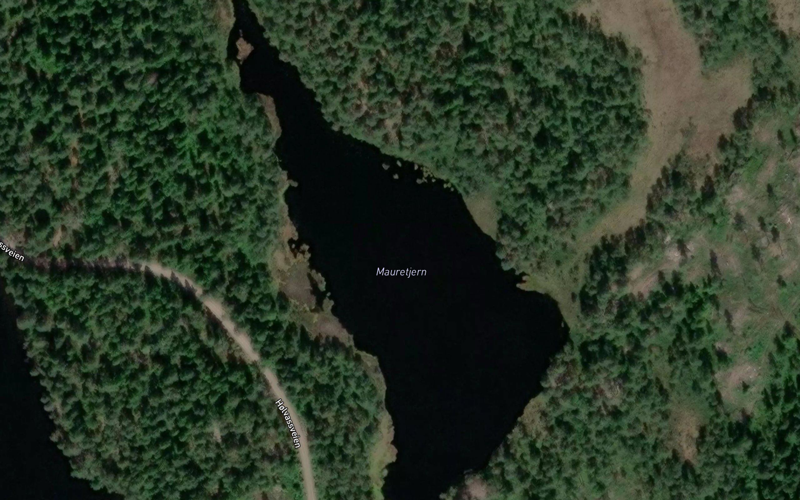 Mauretjern