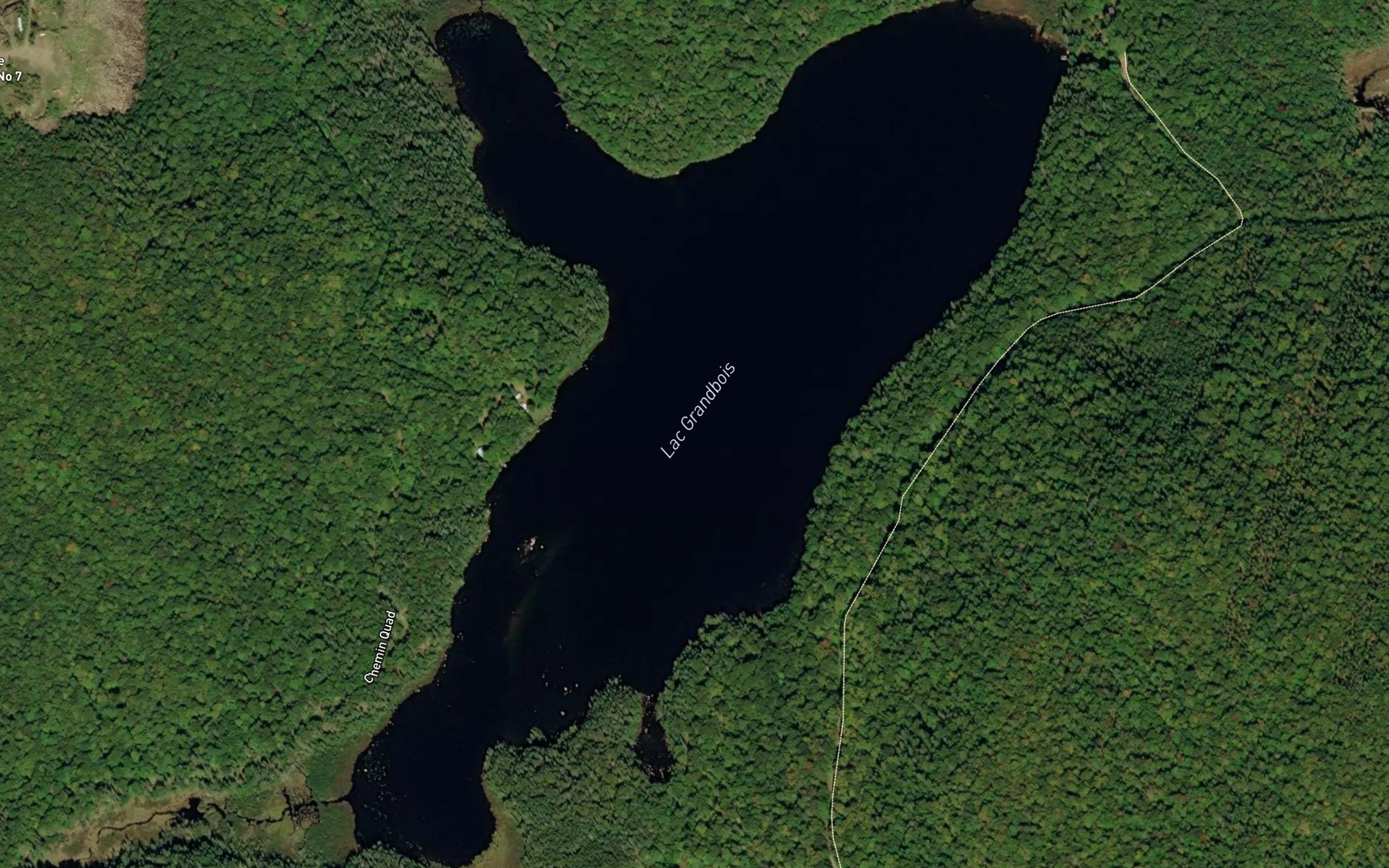 Satellite map of the Lac Grandbois
