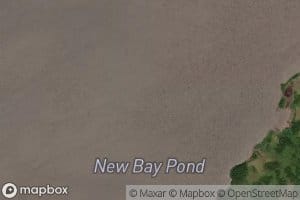 New Bay Pond