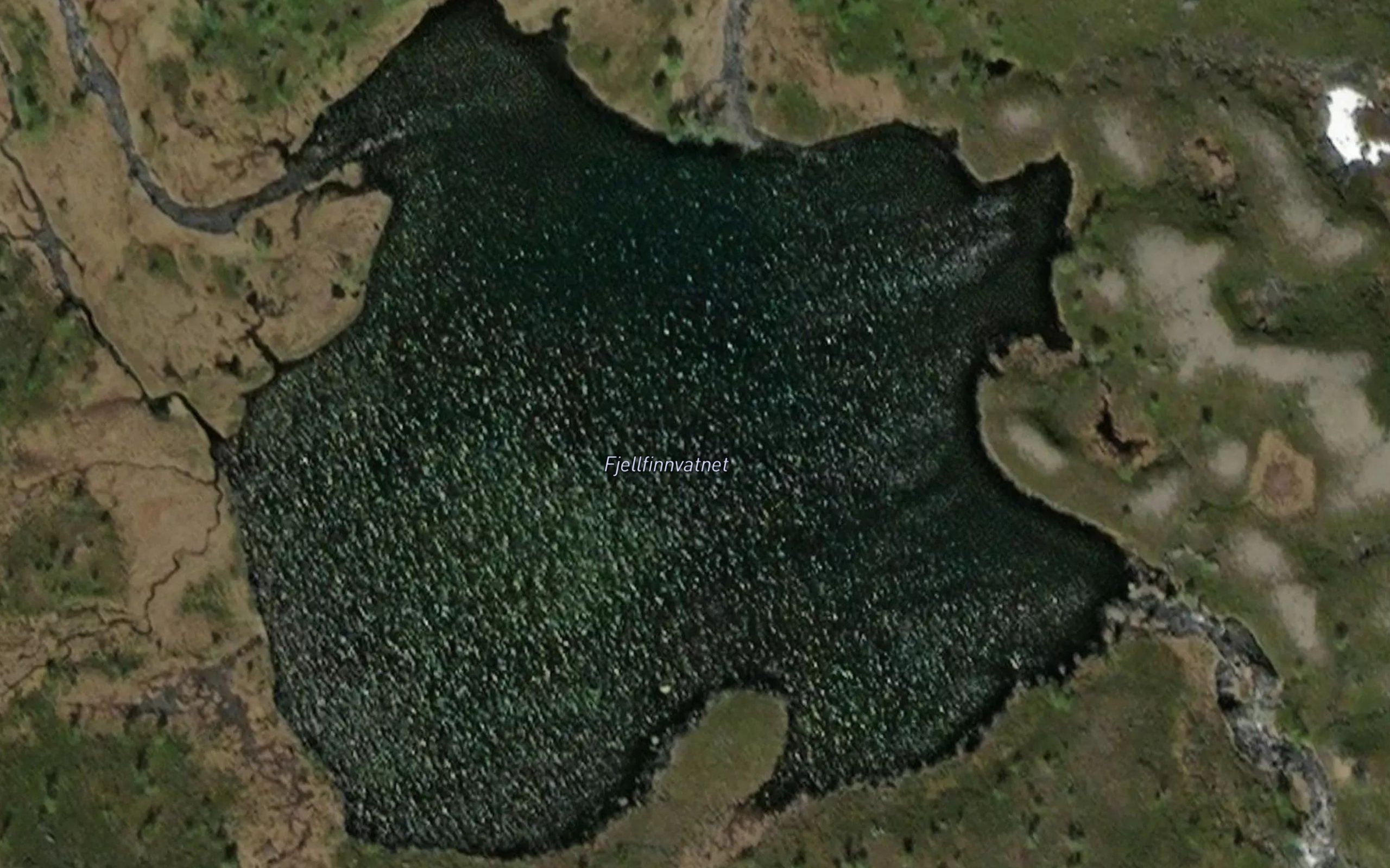Fjellfinnvatnet