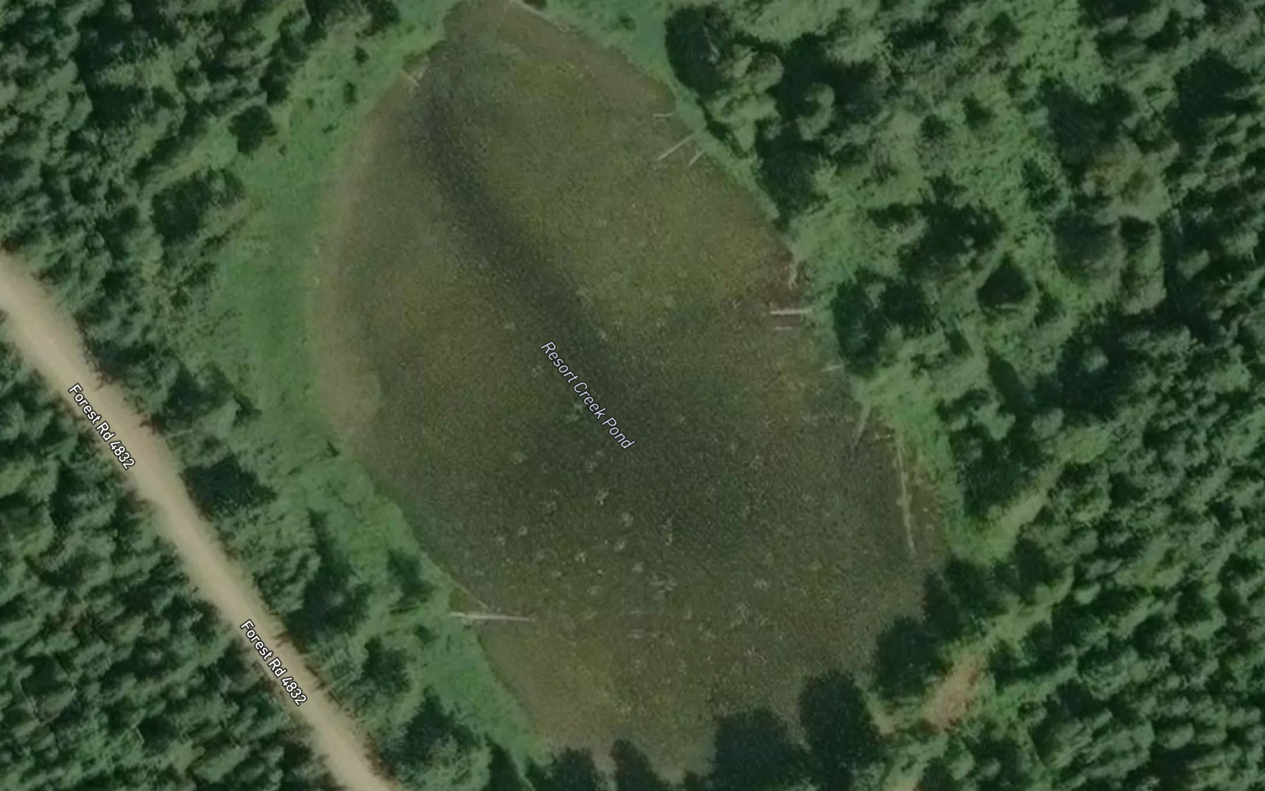 Satellite map of the Resort Creek Pond