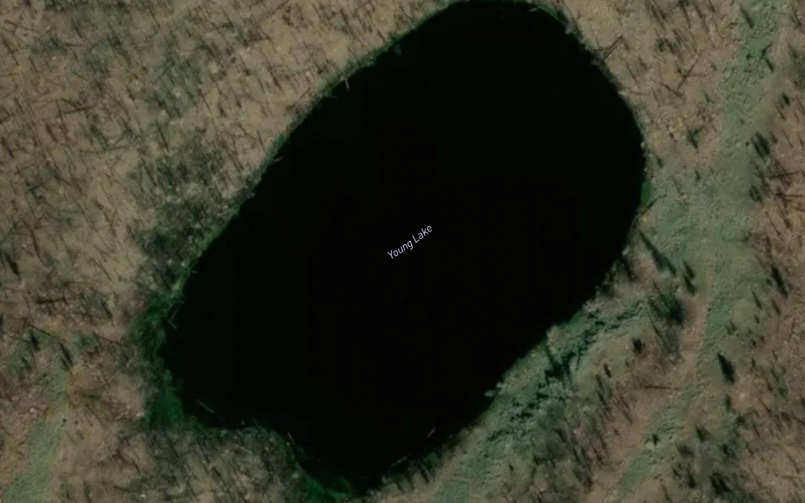 Young Lake